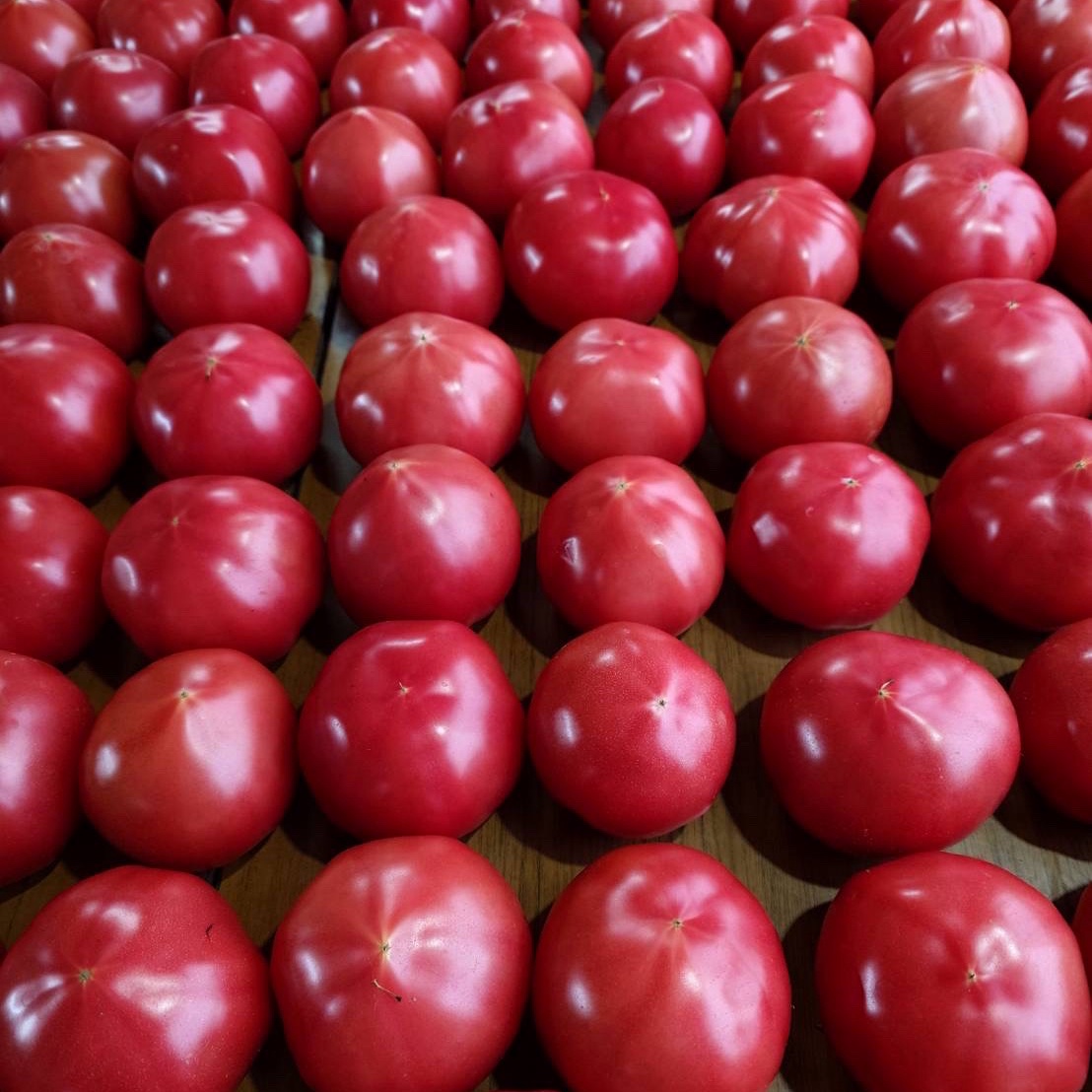 4月関東限定』完熟とまとA品約4kg 送料込み （中玉20〜30個） | 野菜