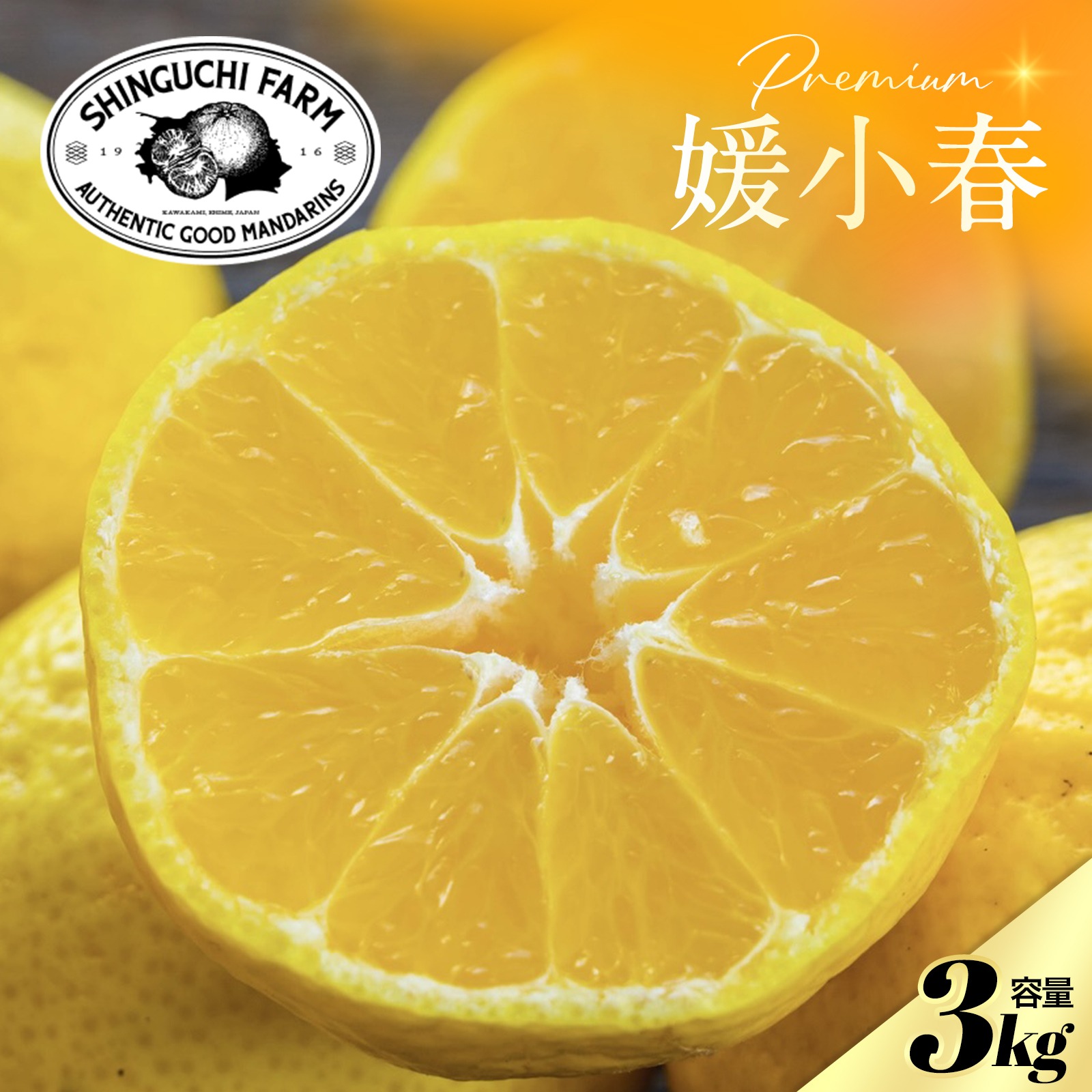 希少柑橘】媛小春 3kg『黄色いのに驚きの甘さ』 ｜ 果物/オレンジ