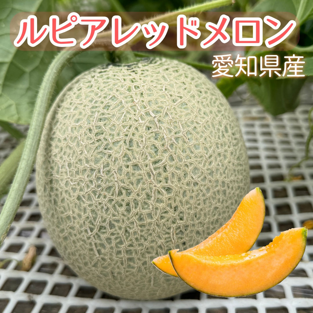 ルピアレッドメロン　7L4玉 4e2d14deb6593a734caec65f852021