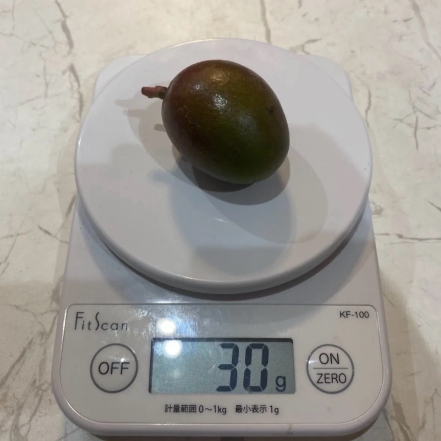 沖縄県産 摘果マンゴー(グリーンマンゴー)※小さめです！ ｜ 野菜