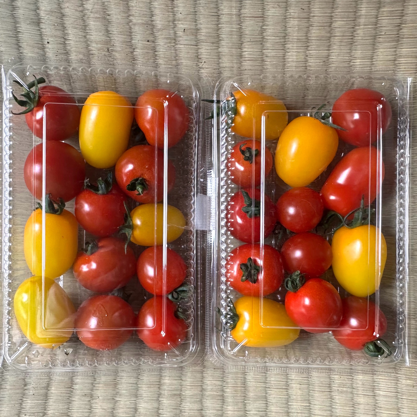 ミニトマト9kgミックス！ 送料込み】ミニトマト(カラフルミックス) ｜ 野菜/トマト 産直アウル
