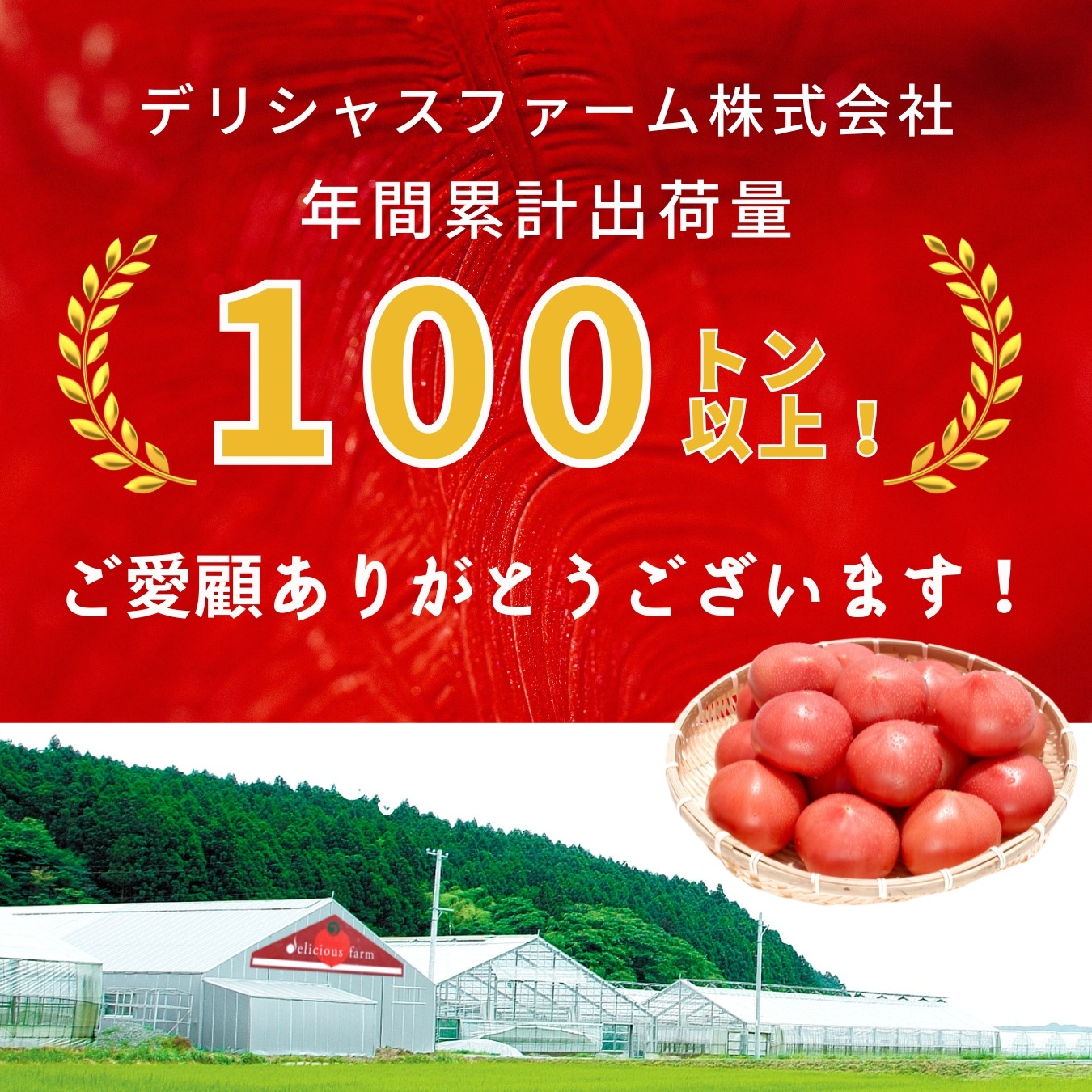 糖度8.5度以上！極甘スーパー麗月1kg ｜ 野菜/トマト 産直アウル