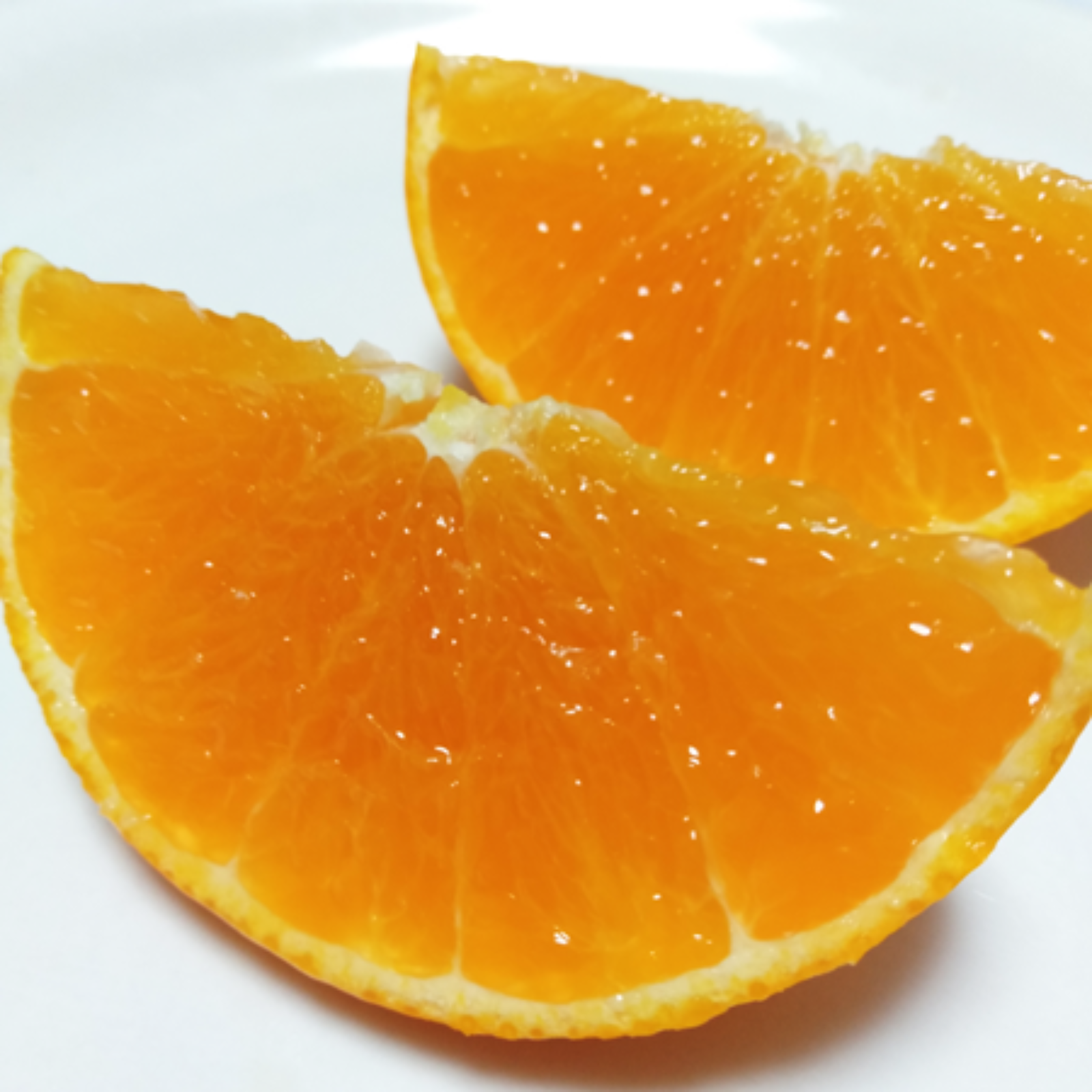 そらっこ　まどんな8kg+南柑20号3kgぐるりん 濃厚な味わい旬のちえみかん🍊（南柑20号）3㌔：愛媛県産のみかん