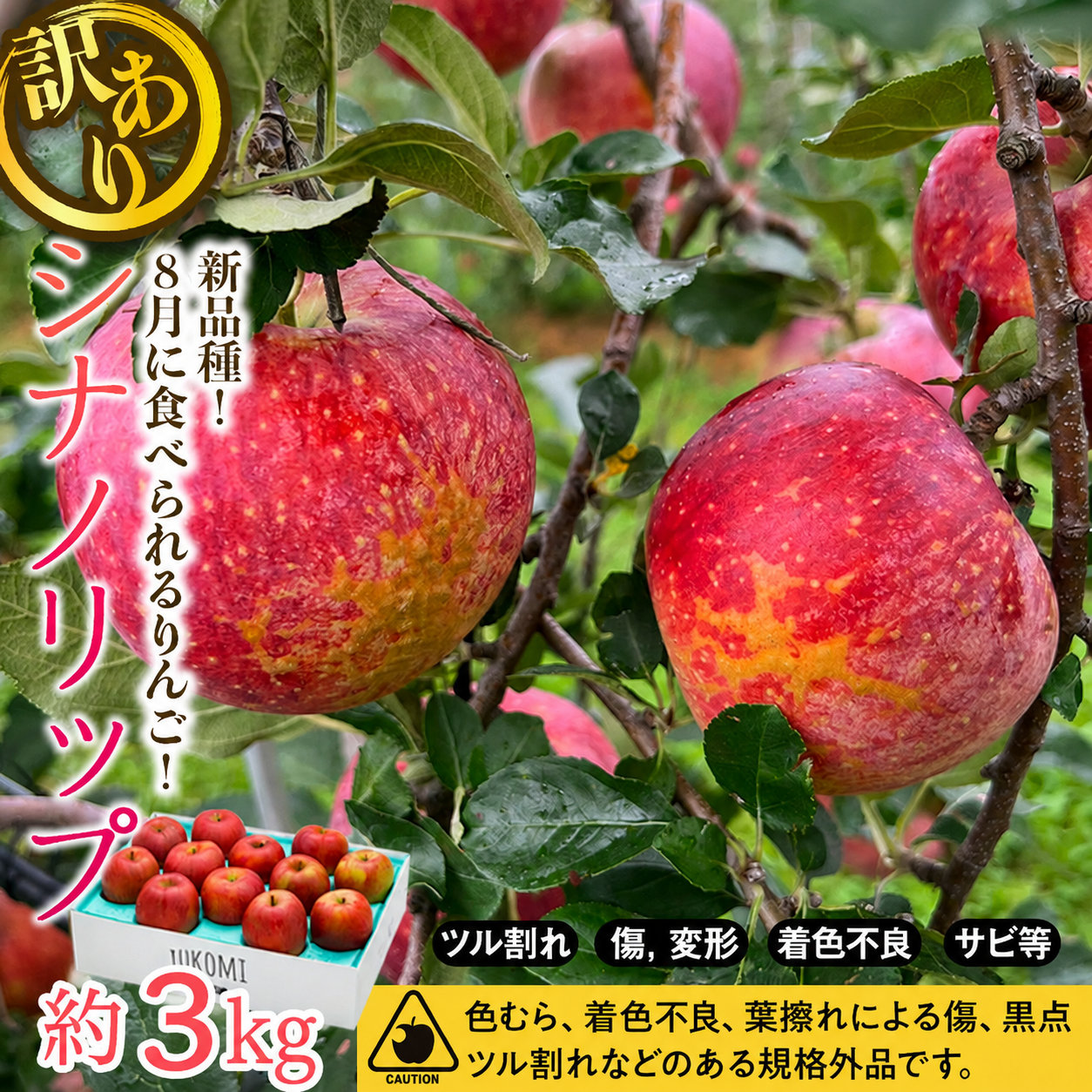 シナノリップ】訳あり約3kg りんご 2026年度予約受付中 新品種 長野県