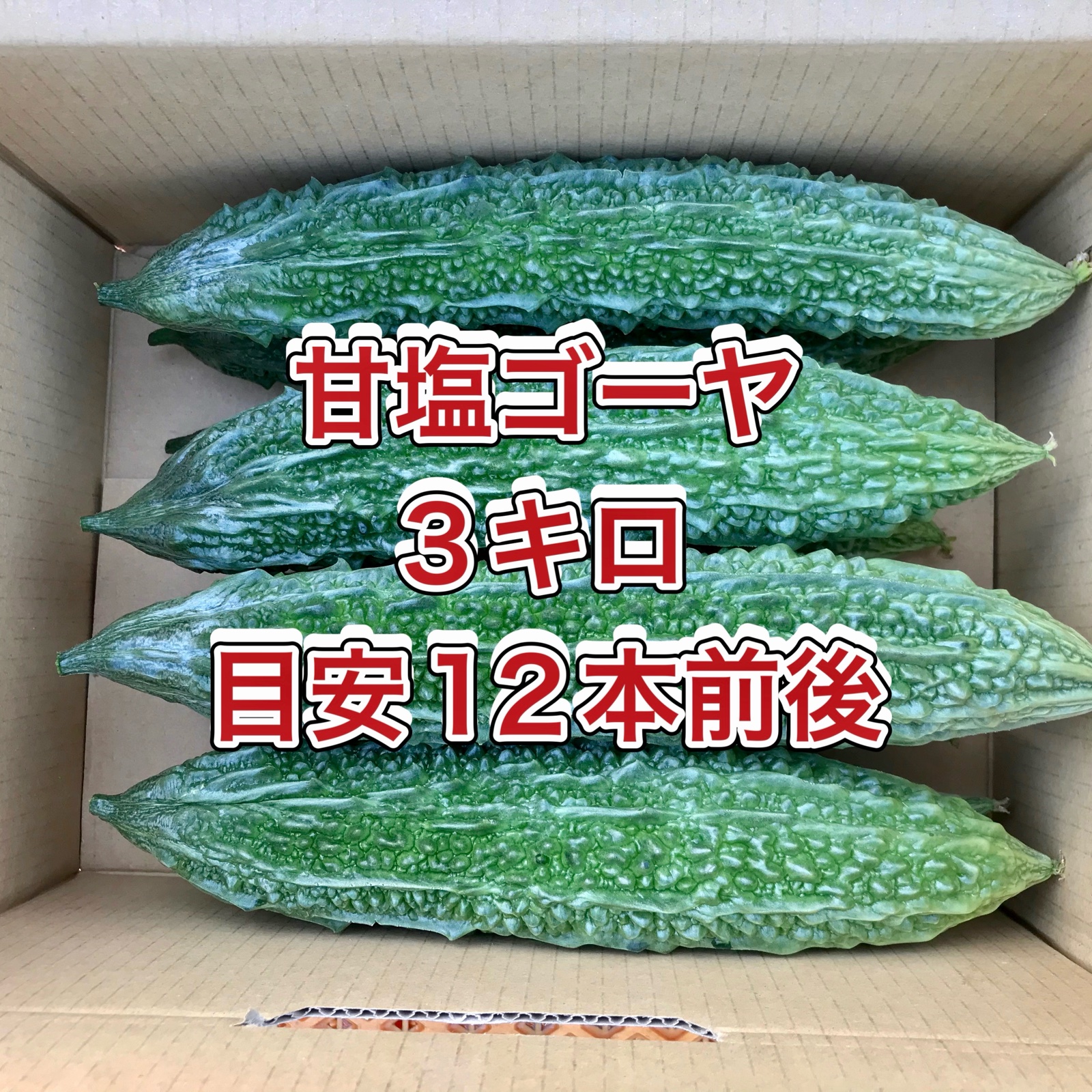 鹿児島産】甘塩ゴーヤ箱込み3キロ^_^ ｜ 野菜/ゴーヤ 産直アウル 農家