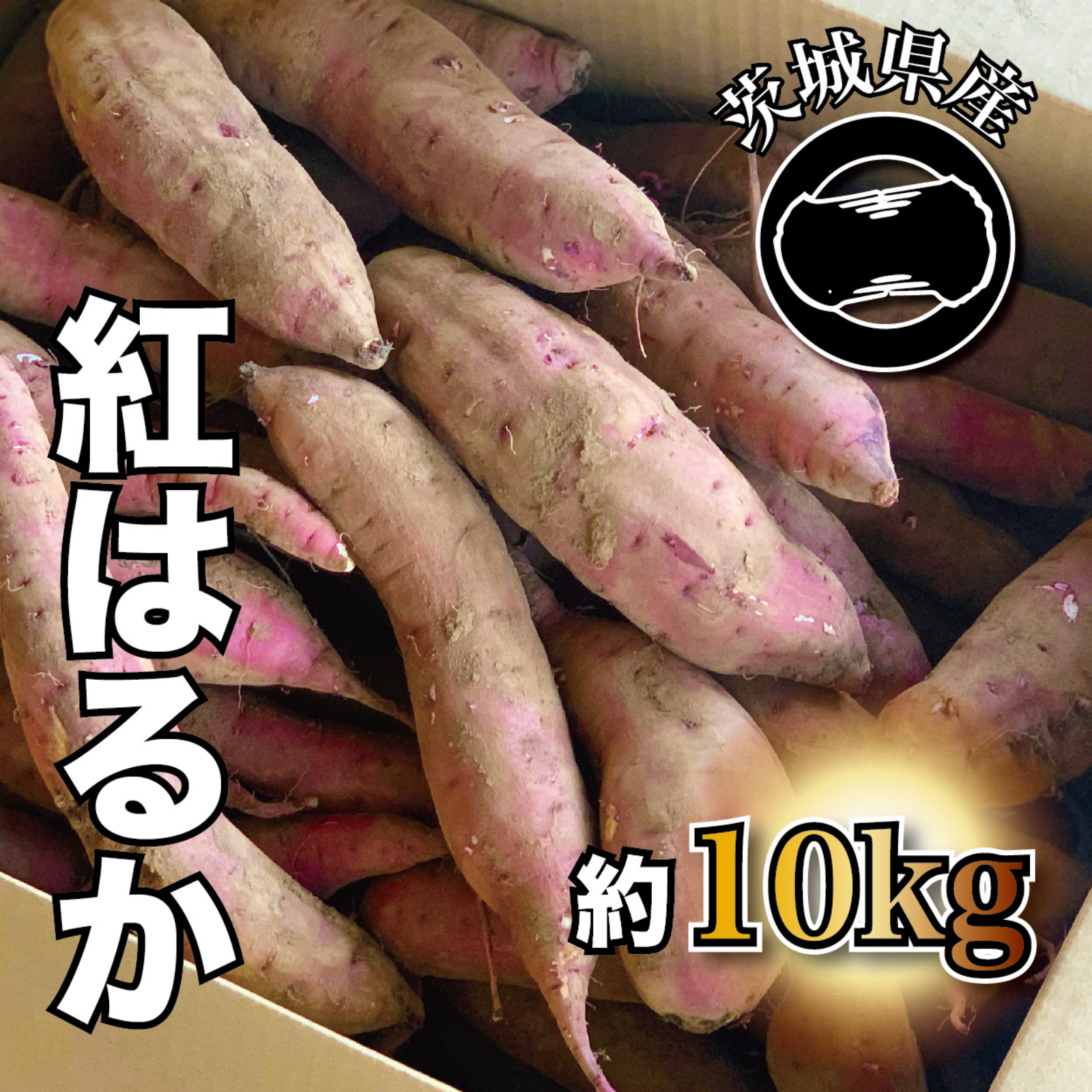 無農薬さつまいも☆紅はるか特大サイズ 箱込み20キロ 愛知県産 無