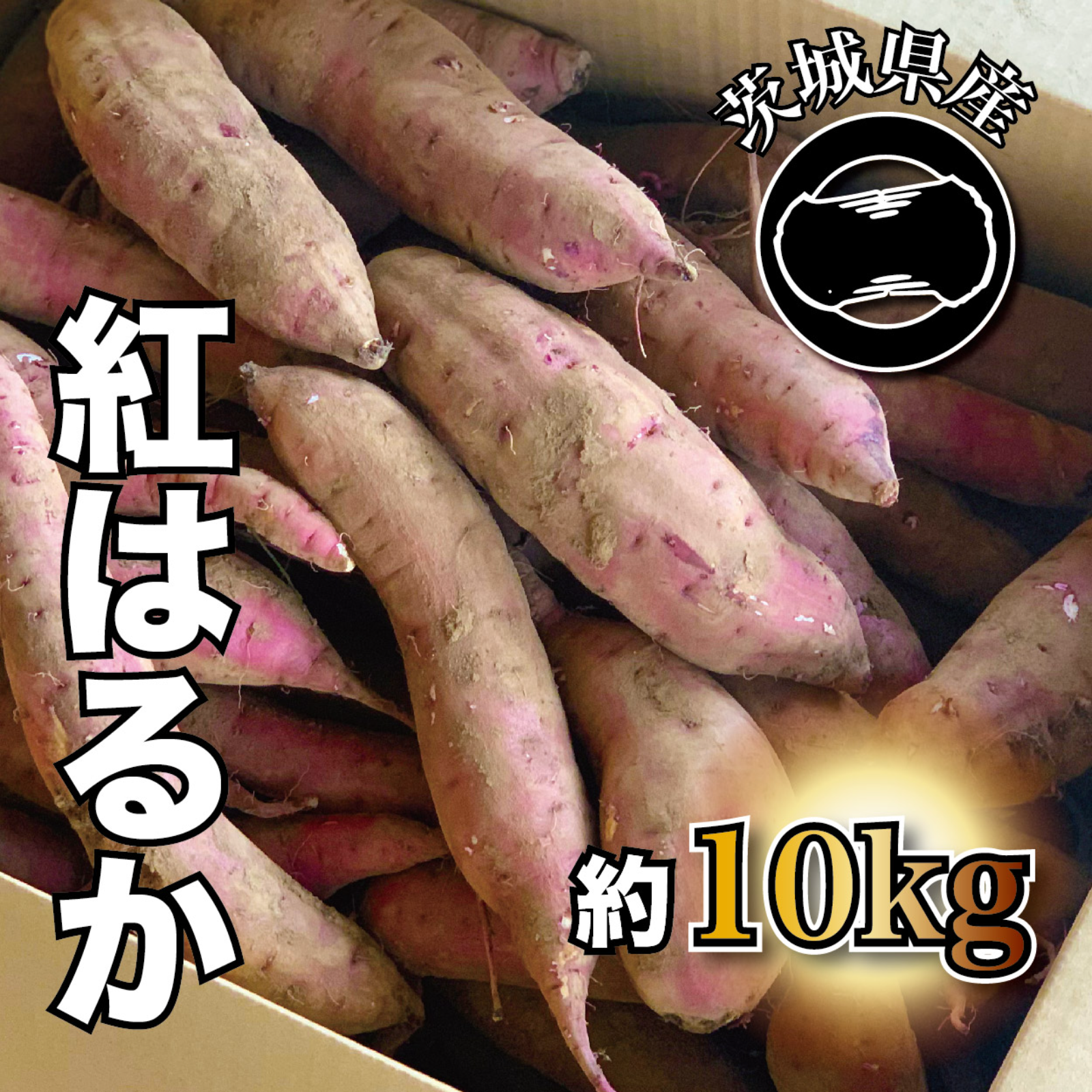 熊本県産 熟成紅はるかMサイズ20キロ - 野菜