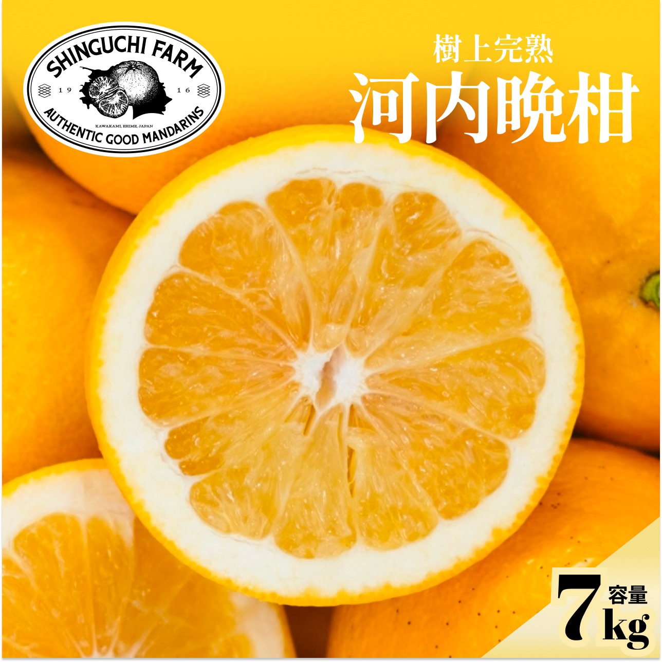 訳あり】河内晩柑 7kg ほのかな甘みに爽やかな酸味 ｜ 果物/オレンジ