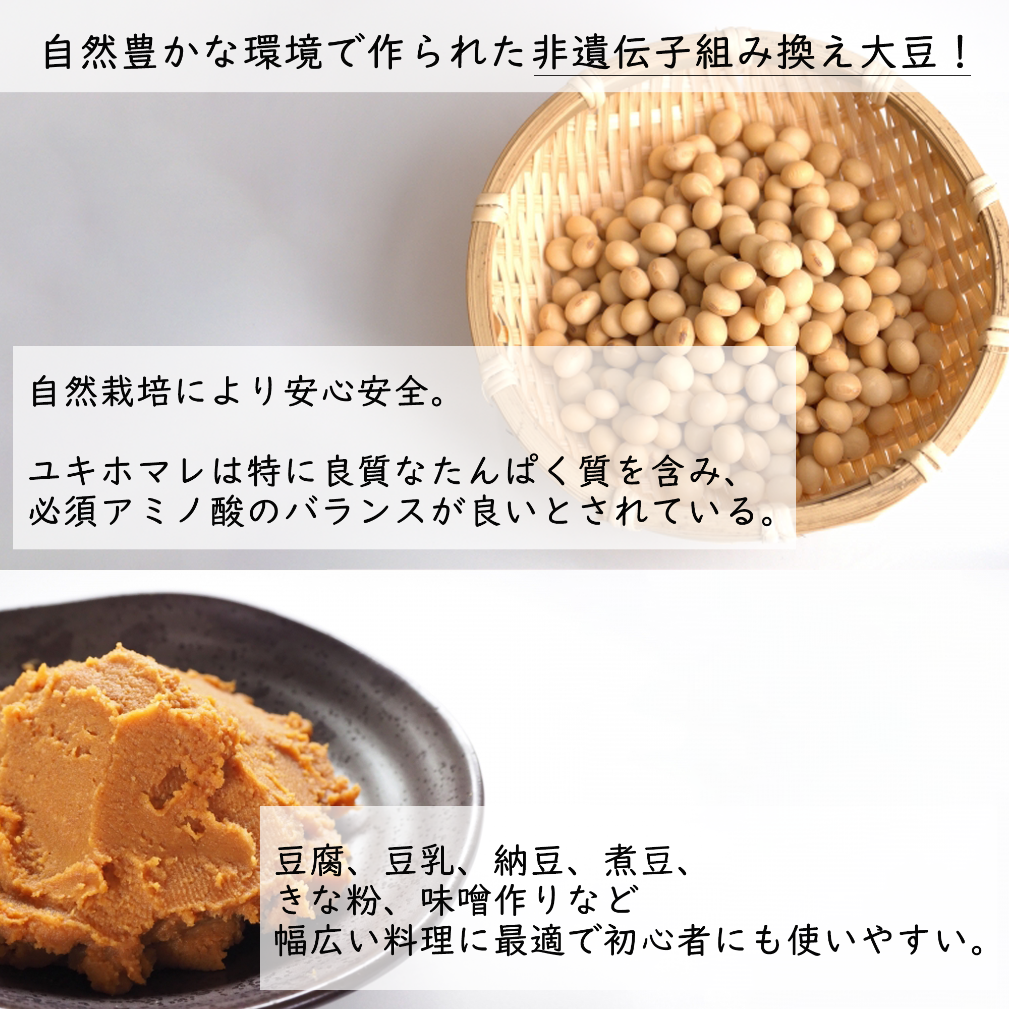 大豆 ユキホマレ 令和7年 北海道十勝産 10kg 北海道十勝産】ユキホマレ 大豆 1kg 令和6年度産 ｜ 野菜/豆類 産直