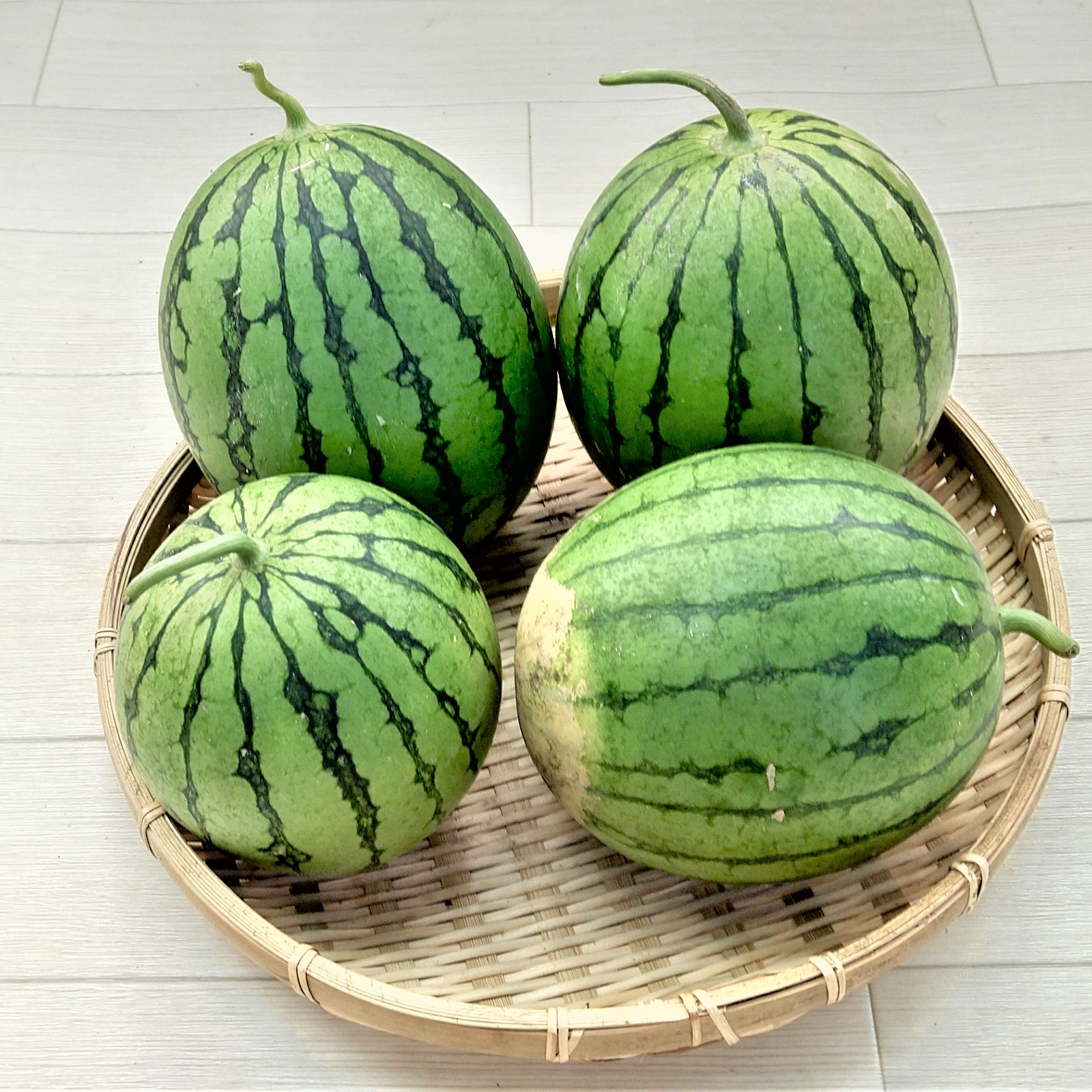 小玉西瓜2玉セット 栽培期間中農薬不使用 | 果物/スイカ 産直アウル