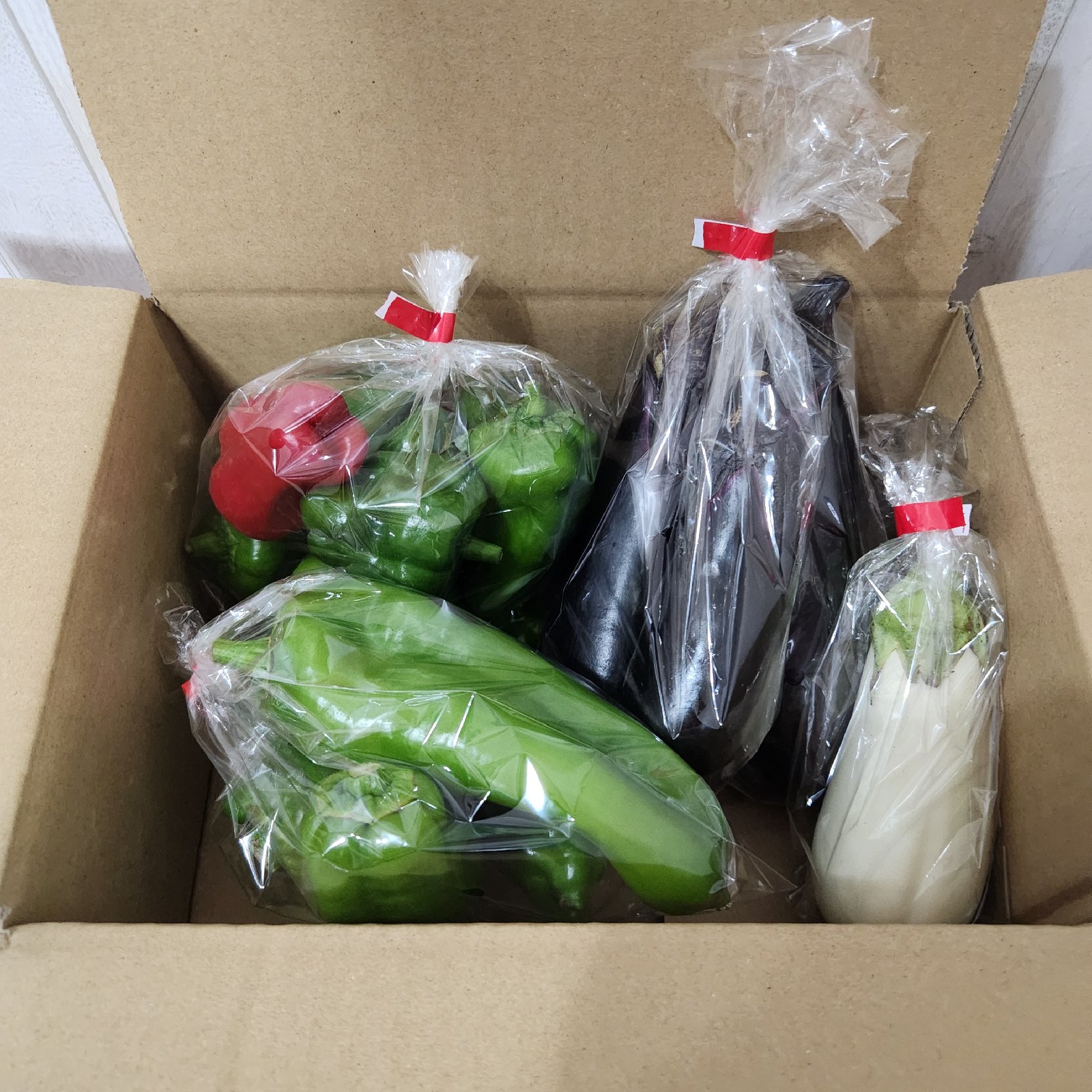 ひなたぼっこ農園の色々な茄子とピーマンの詰め合わせ | 野菜/野菜