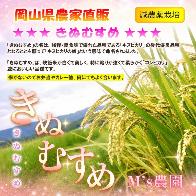 2026年 岡山県産 きぬむすめ 25kg 精米（精米後22.5kg程度でお届け