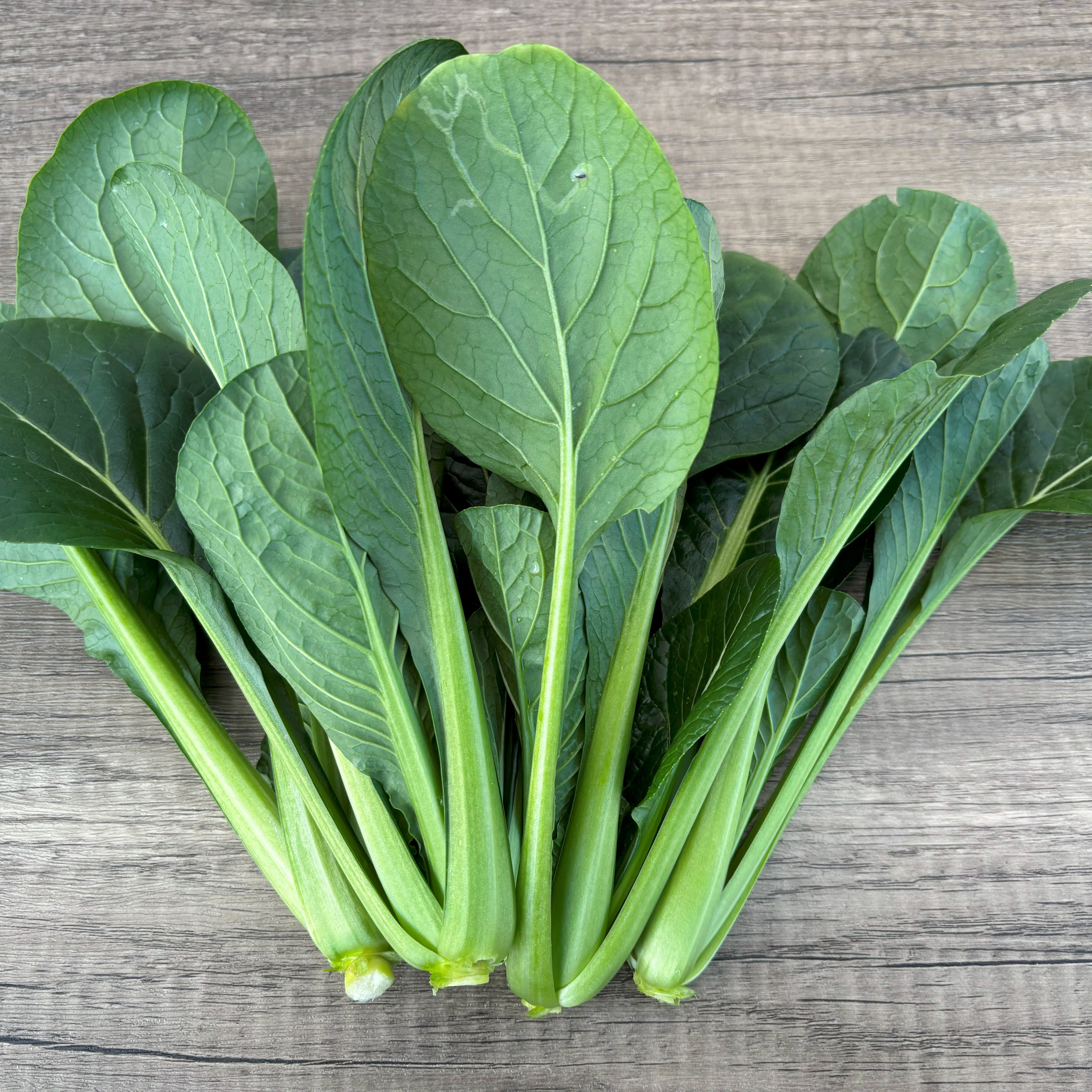 ベジタブルハート 葉物野菜 小松菜 無農薬栽培 200g前後× 8袋 菜の花の 