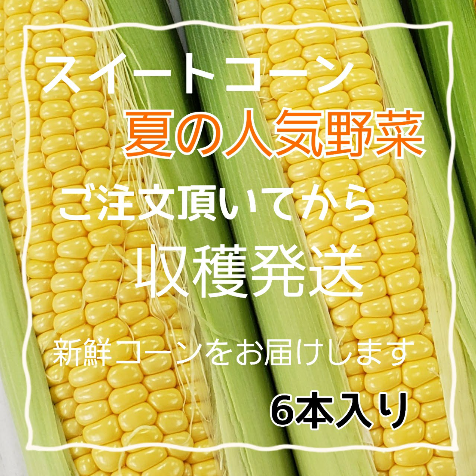 とうもろこし様専用 【超ポイントバック祭】 htckl.water.gov.my