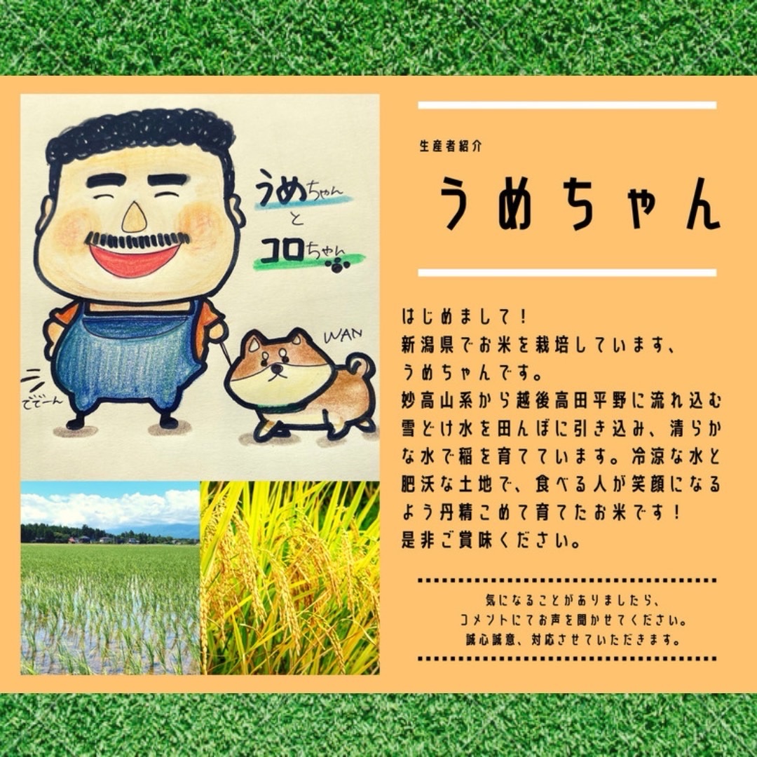 令和7年産 新米 にじのきらめき ｜ 米・穀物/米/精米 産直アウル 農家