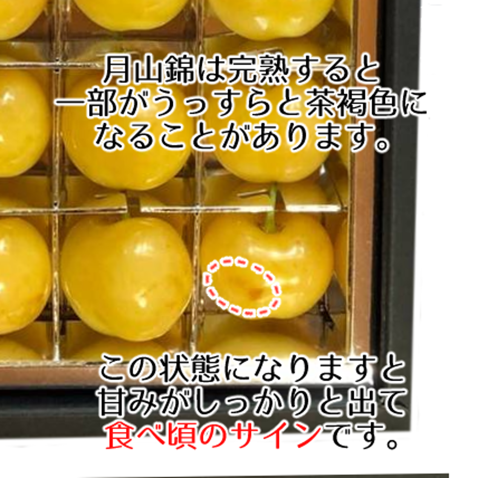 食品 5961abcba様専用［限定出品］山形県産 さくらんぼ 月山錦3L 2kg②③
