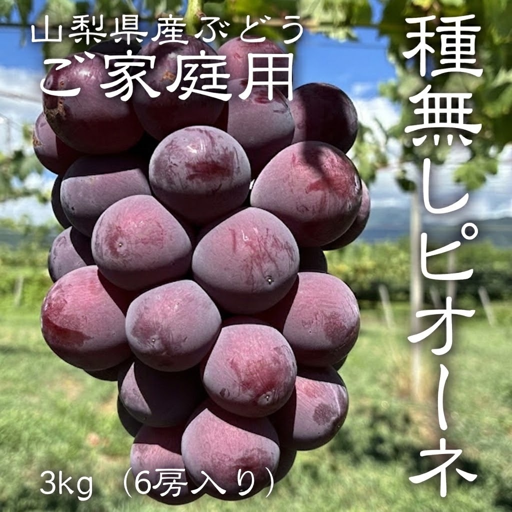 朝採れ発送　山梨ぶどう　種無しピオーネ3.5キロ(箱込み) 家庭用　訳あり 家庭用　訳あり 朝採れ発送　山梨ぶどう　種無しピオーネ3.5キロ(箱込み)