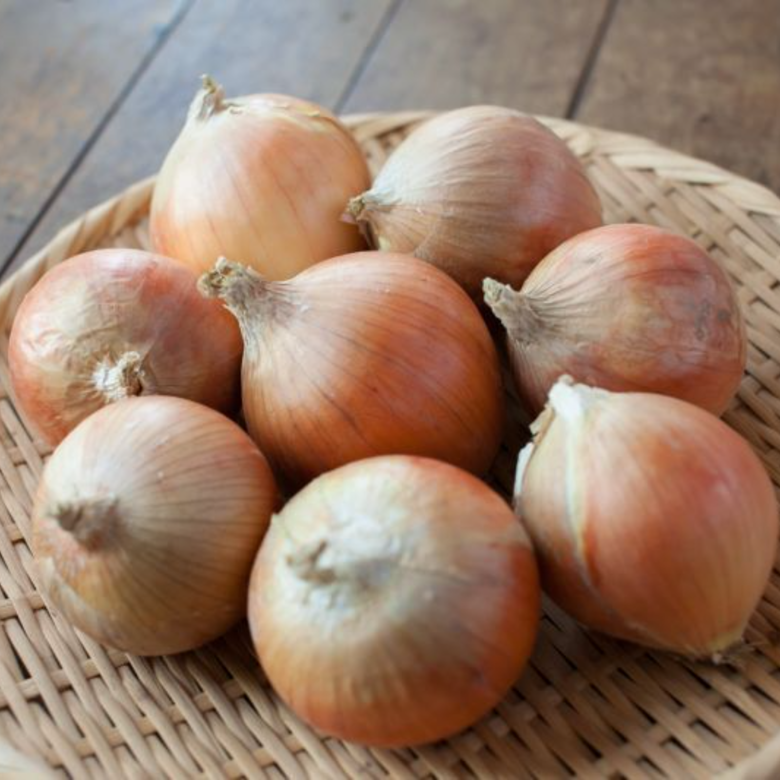 信州産紅玉ねぎお箱込み五キロ 信州産紅玉ねぎお箱込み五キロ