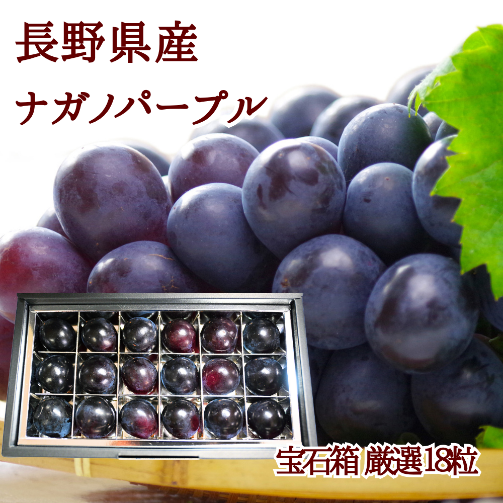 ナガノパープルの宝石箱18粒 【信州長野県産】※2025年先行予約※ 8月