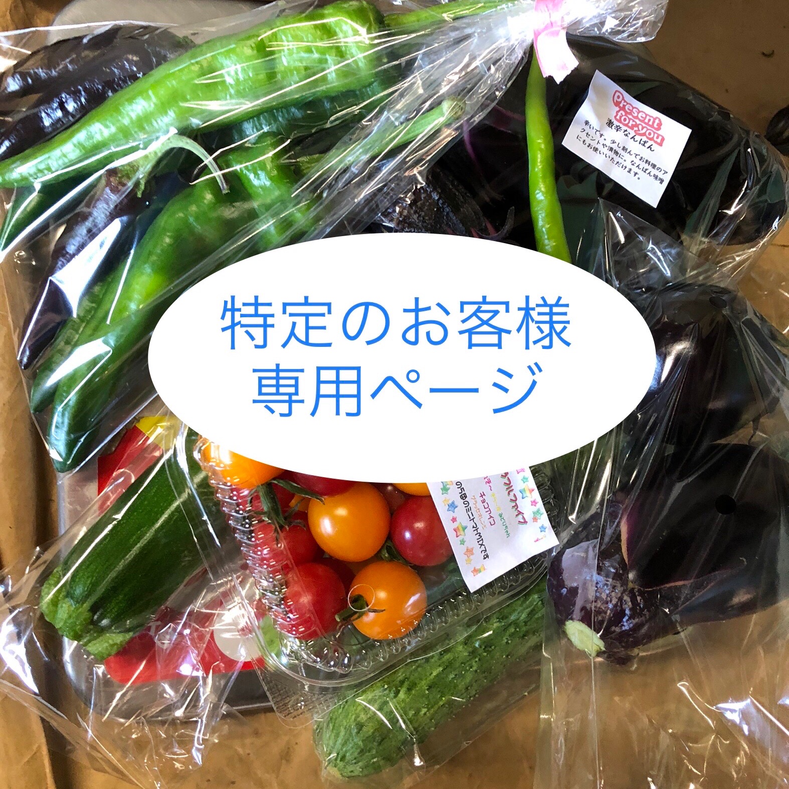 令和2年産ひとめぼれ精米5kg+お任せ野菜セット ｜ 野菜/野菜セット 