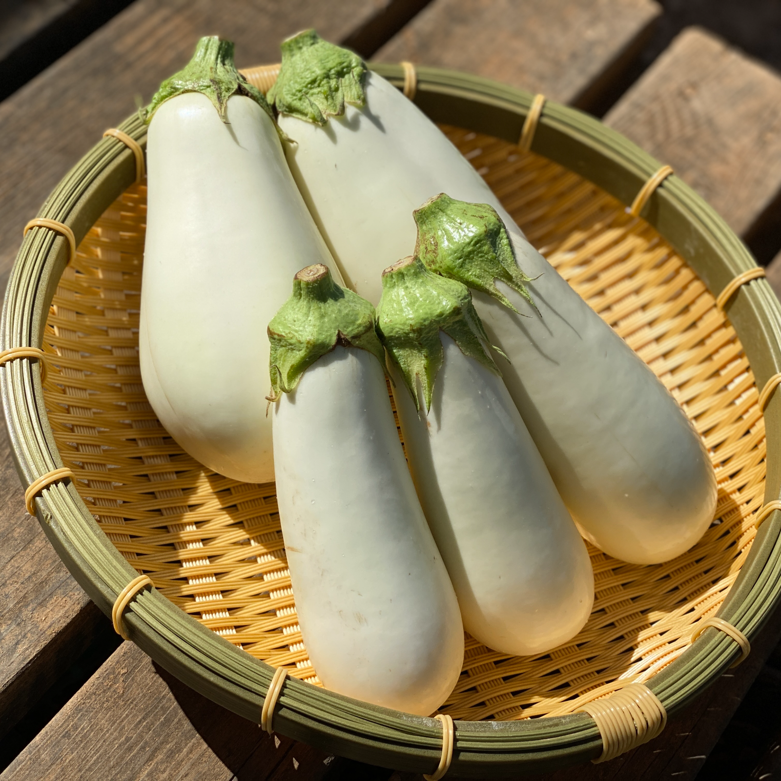 とろけるような食感が好評!!白なす盛り合わせ(1kg) ｜ 野菜/茄子 産直