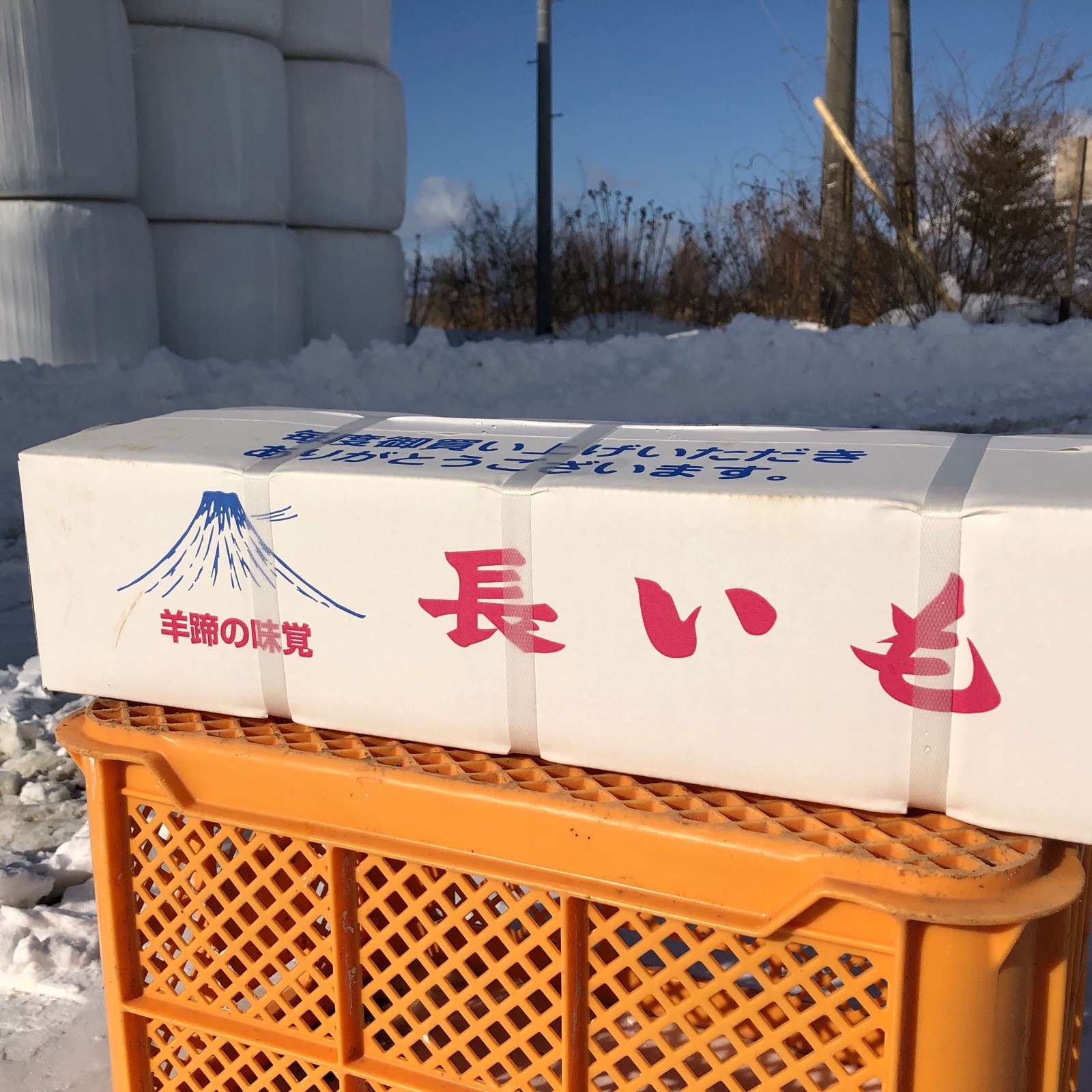 北海道真狩産 いんなみ農園の土付き長芋 10kg ｜ 野菜/長いも・山いも