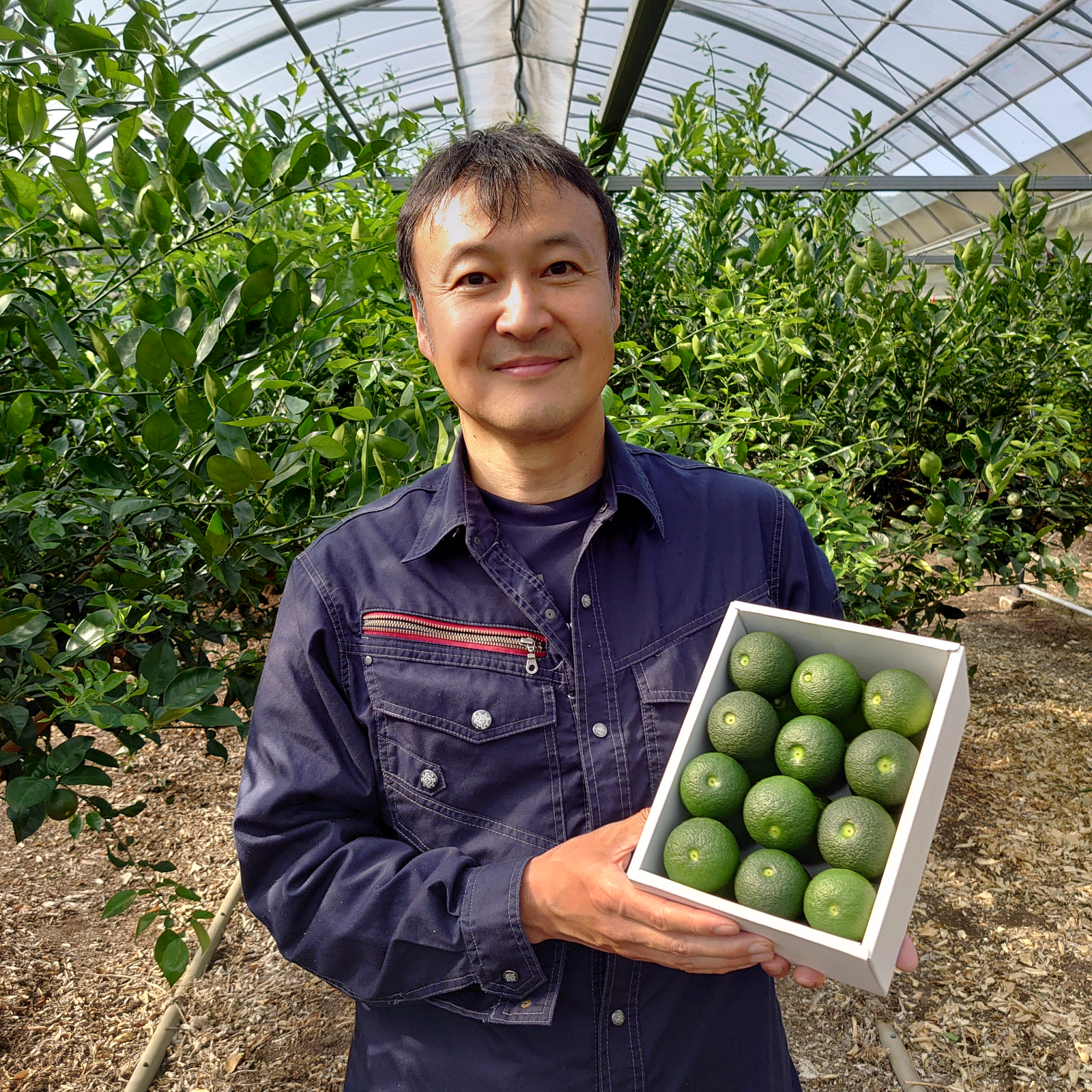 黒木へべすファーム（宮崎県・日向市）｜生産者詳細｜産直アウル