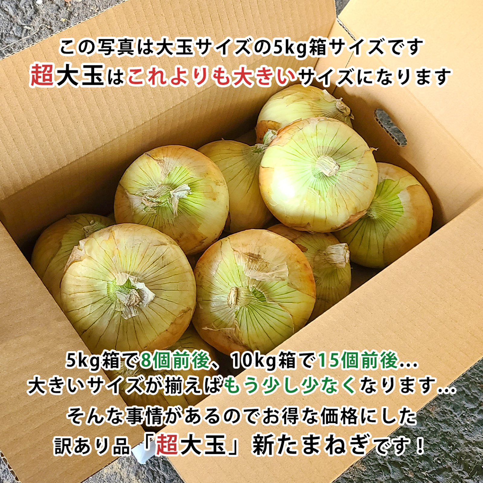 yupira！！淡路島産玉ねぎ、皮向け20kg混合