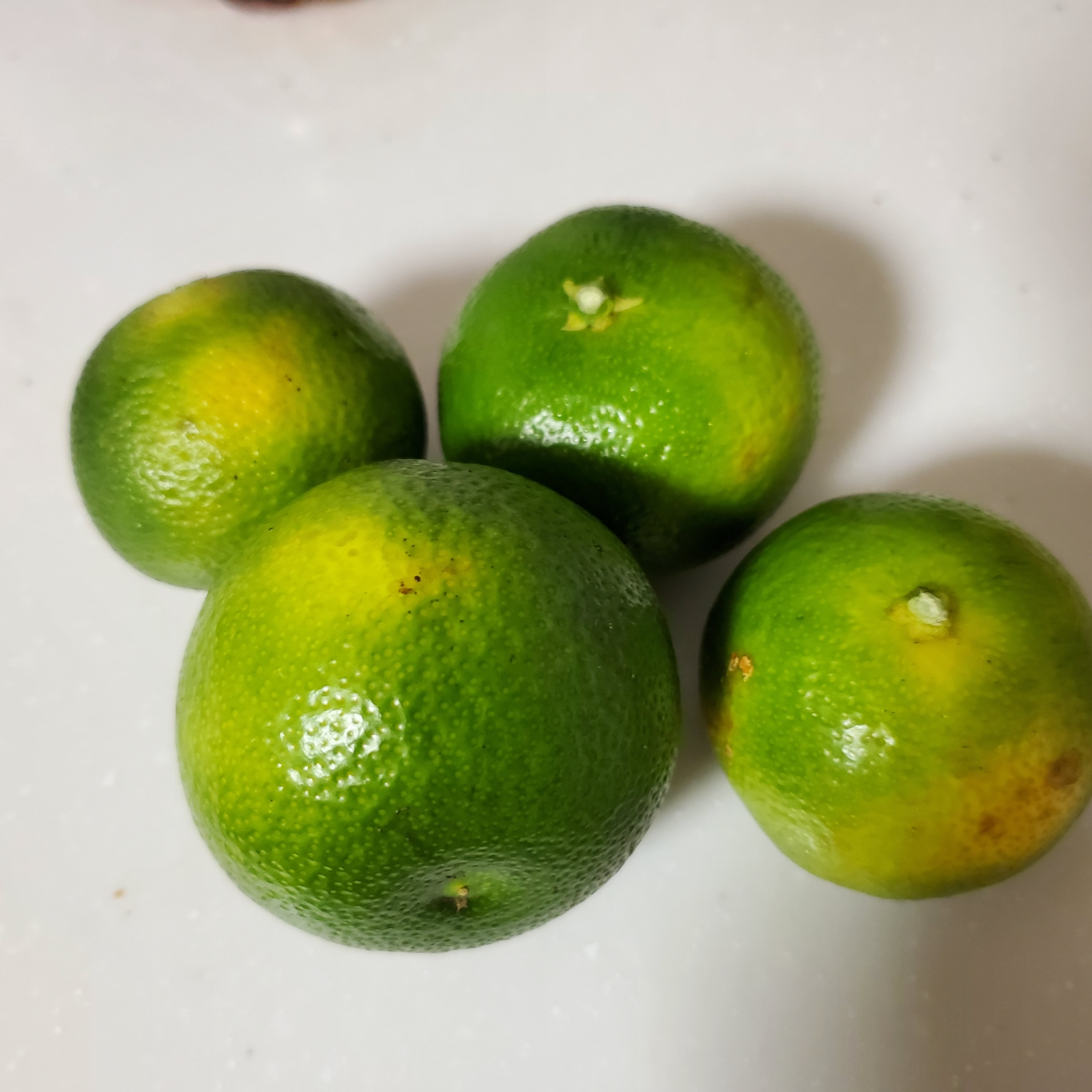 高原町産 黄色いへべす 6kg B品　無農薬