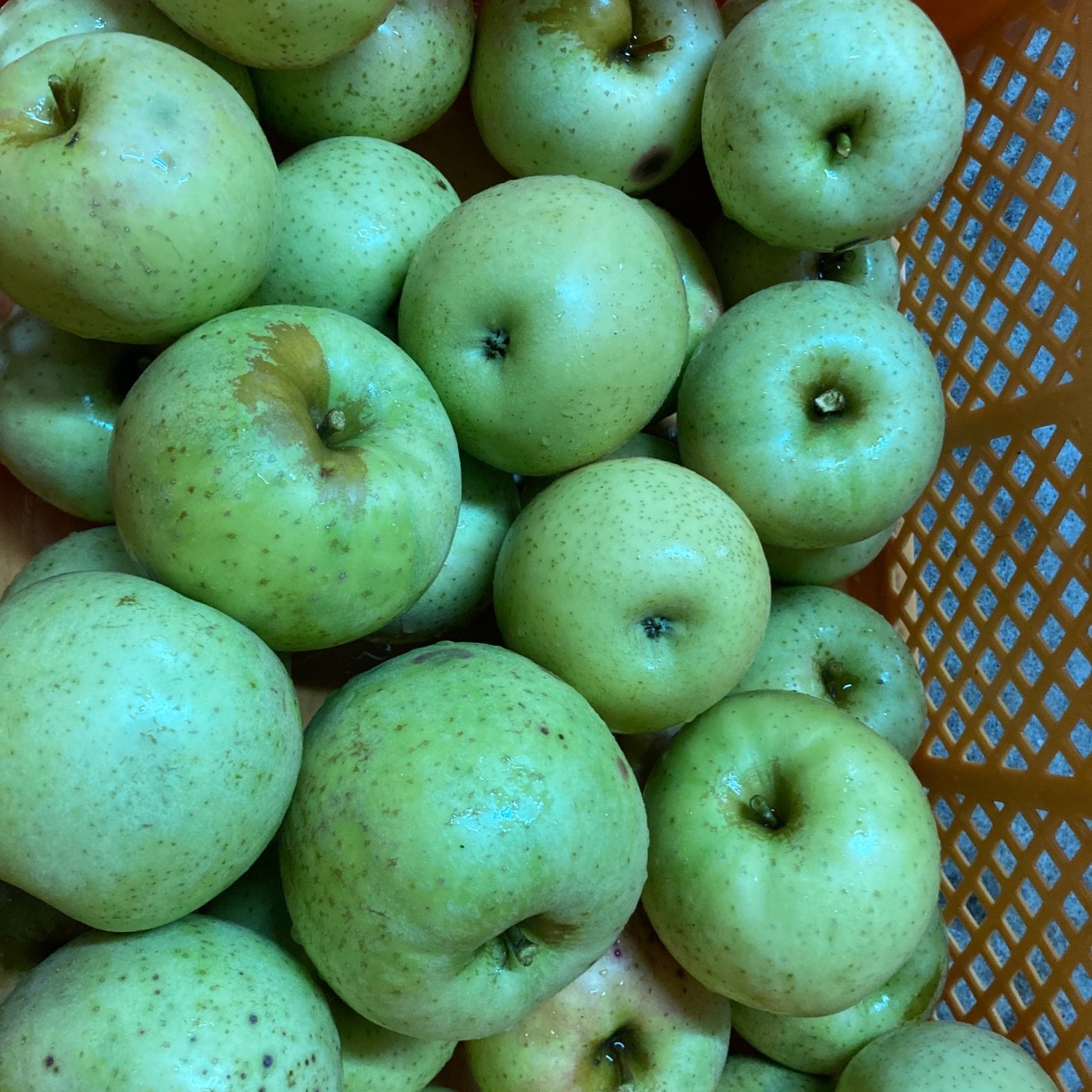 否バラ詰め【A級品・葉とらずサンふじ・20kg（20キロ）用 木