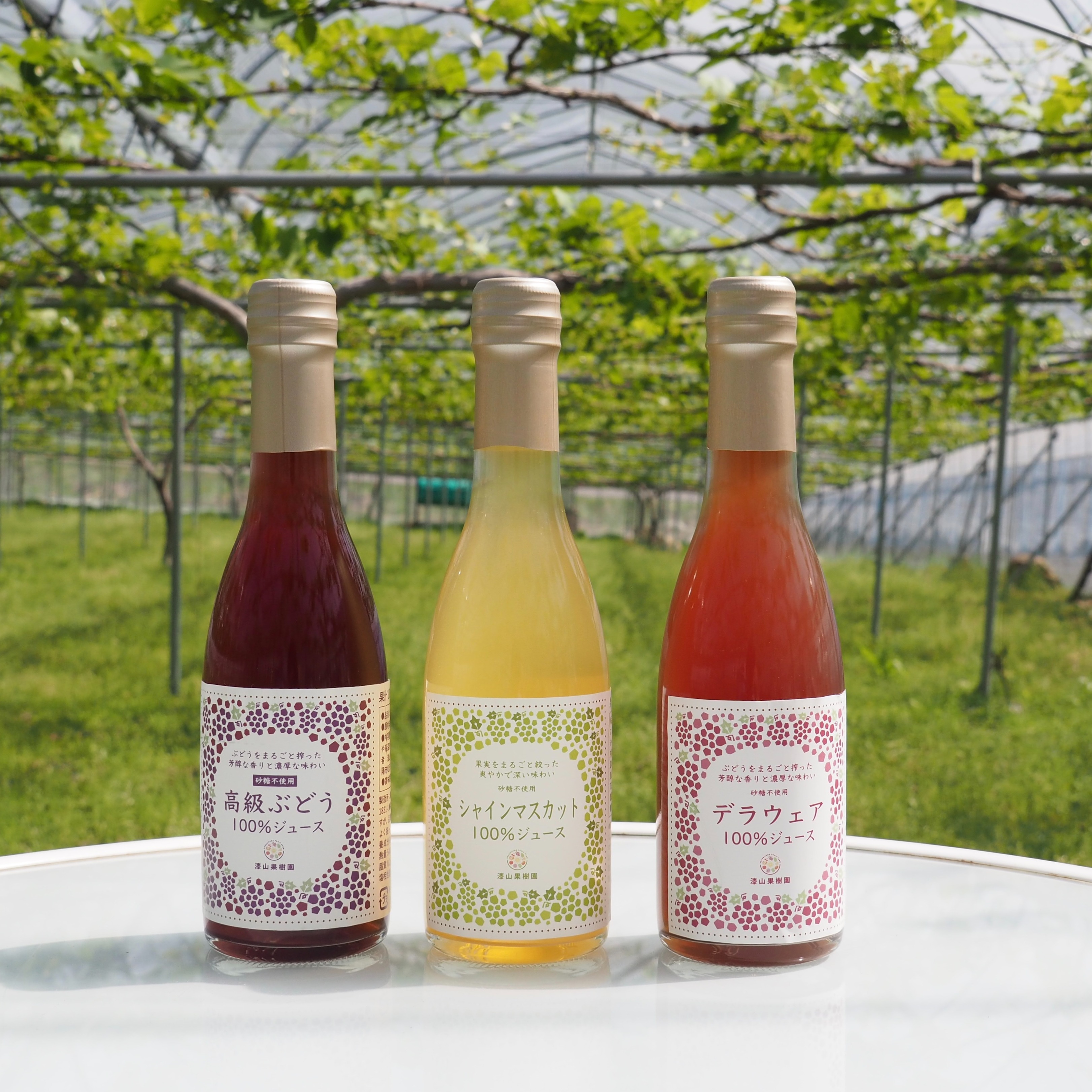山葡萄１００% １２本セット ストレートジュース