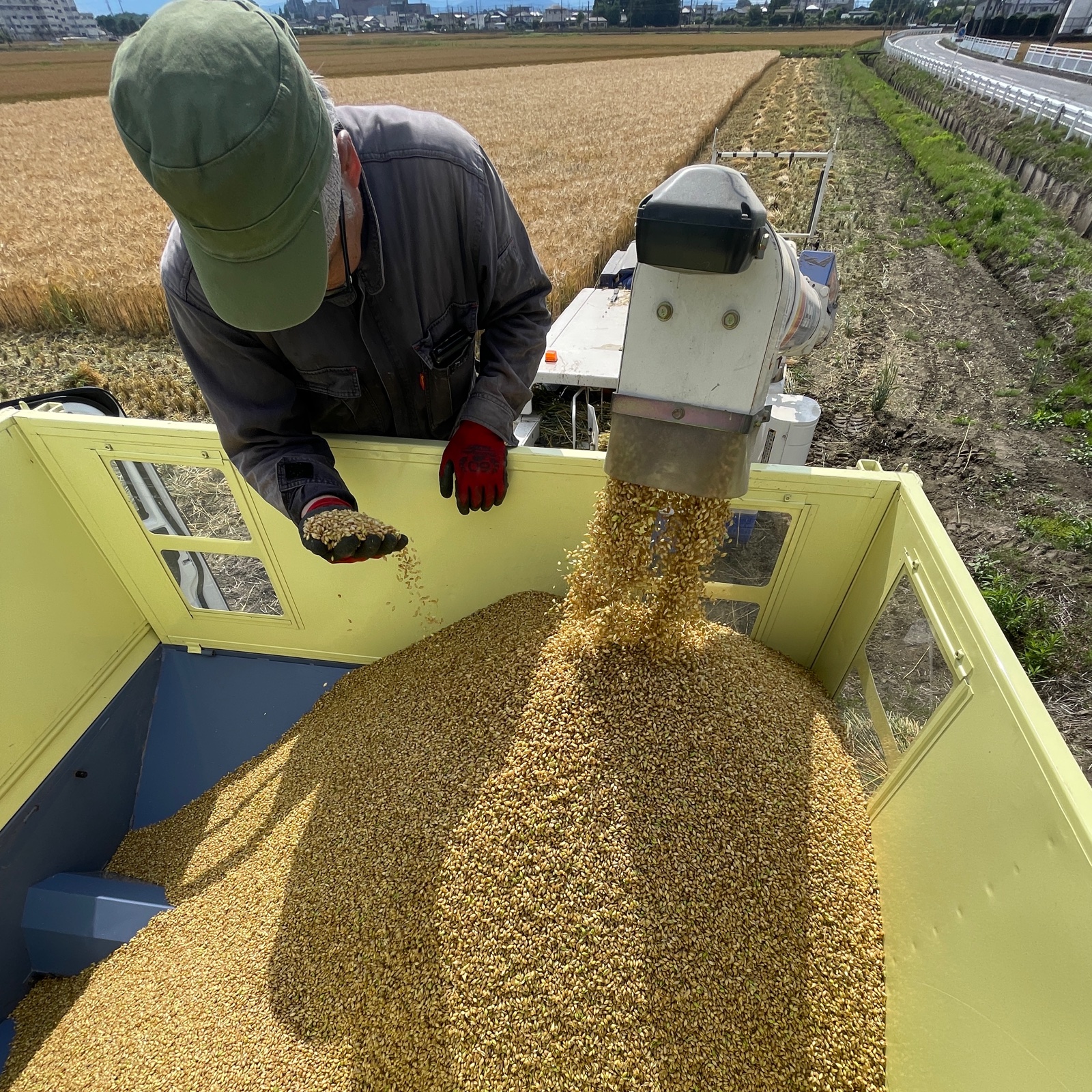 10kgまるで白米！もち麦キラリモチ 令和6年産 | 米・穀物/雑穀 産直