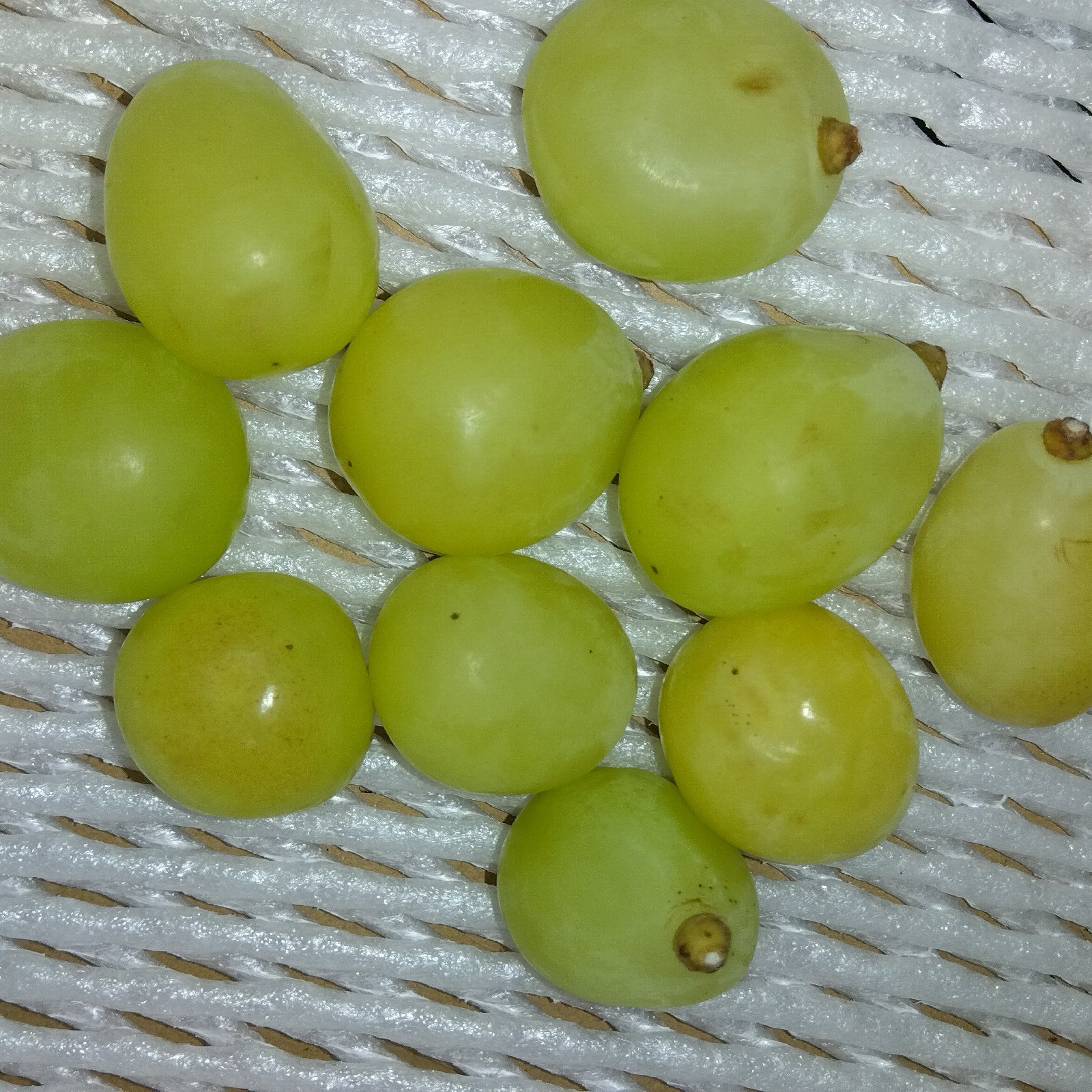 訳あり】岡山県産 粒 シャインマスカット 800g | 果物/ぶどう 産直