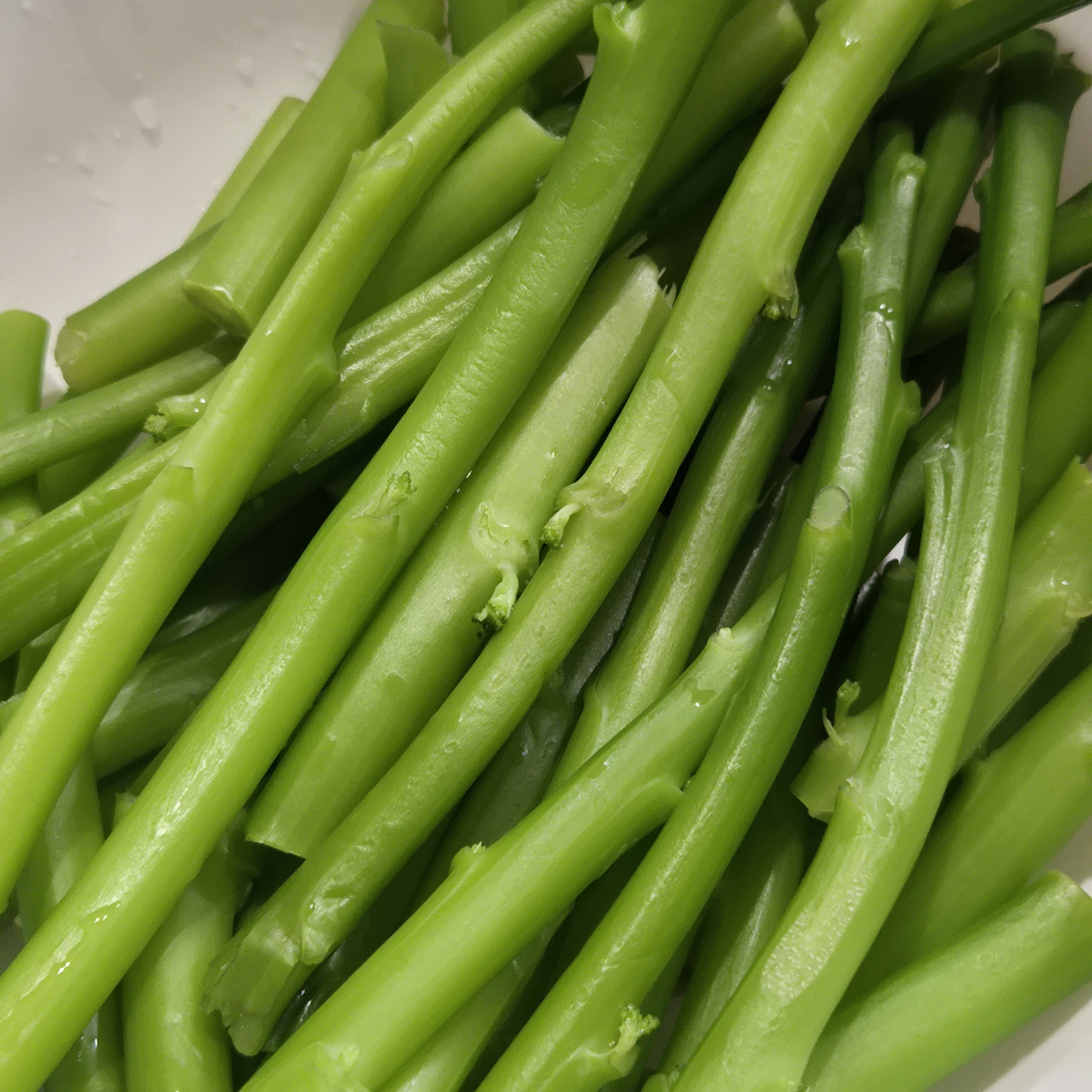 茎だけスティックセニョール ｜ 野菜/その他野菜 産直アウル 農家 