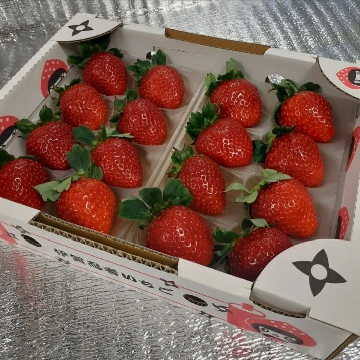 二箱 プレミアムモカベリー 完熟いちご 苺 いちご イチゴ 贈答品 ご注文から1 7日以内に発送 果物 いちご 産直アウル Owl 農家から直接野菜などの食材を購入できる産地直送の宅配通販サイト