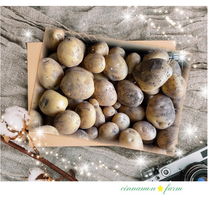 ながさき黄金2キロ | 野菜/じゃがいも 産直アウル 農家から直接野菜
