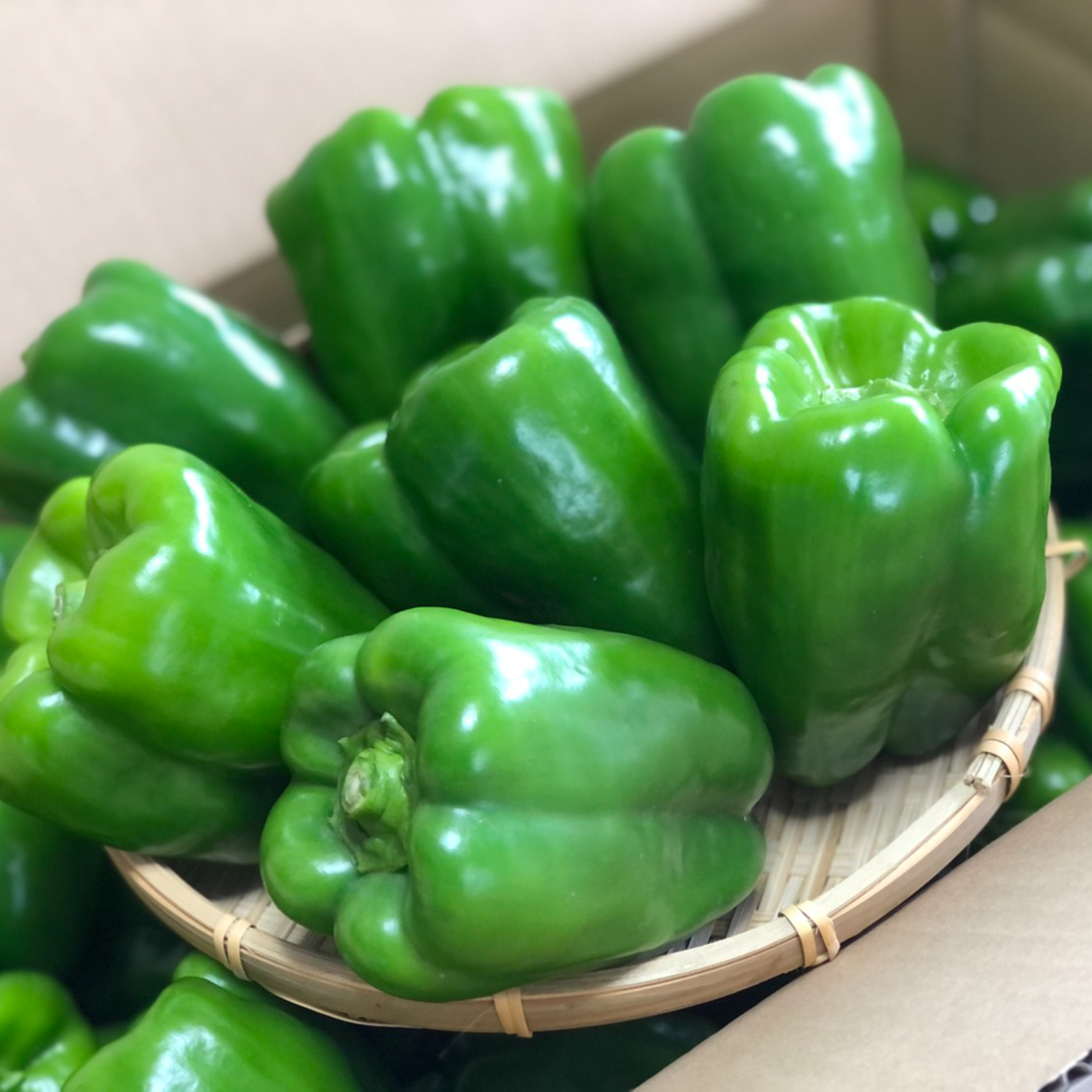 ワンダーピーマン【火の国くまもとの太陽たっぷり】（２キロ）収穫当日出荷☆無農薬 | 野菜/その他野菜  産直アウル（Owl）農家から直接野菜などの食材を購入できる産地直送の宅配通販サイト