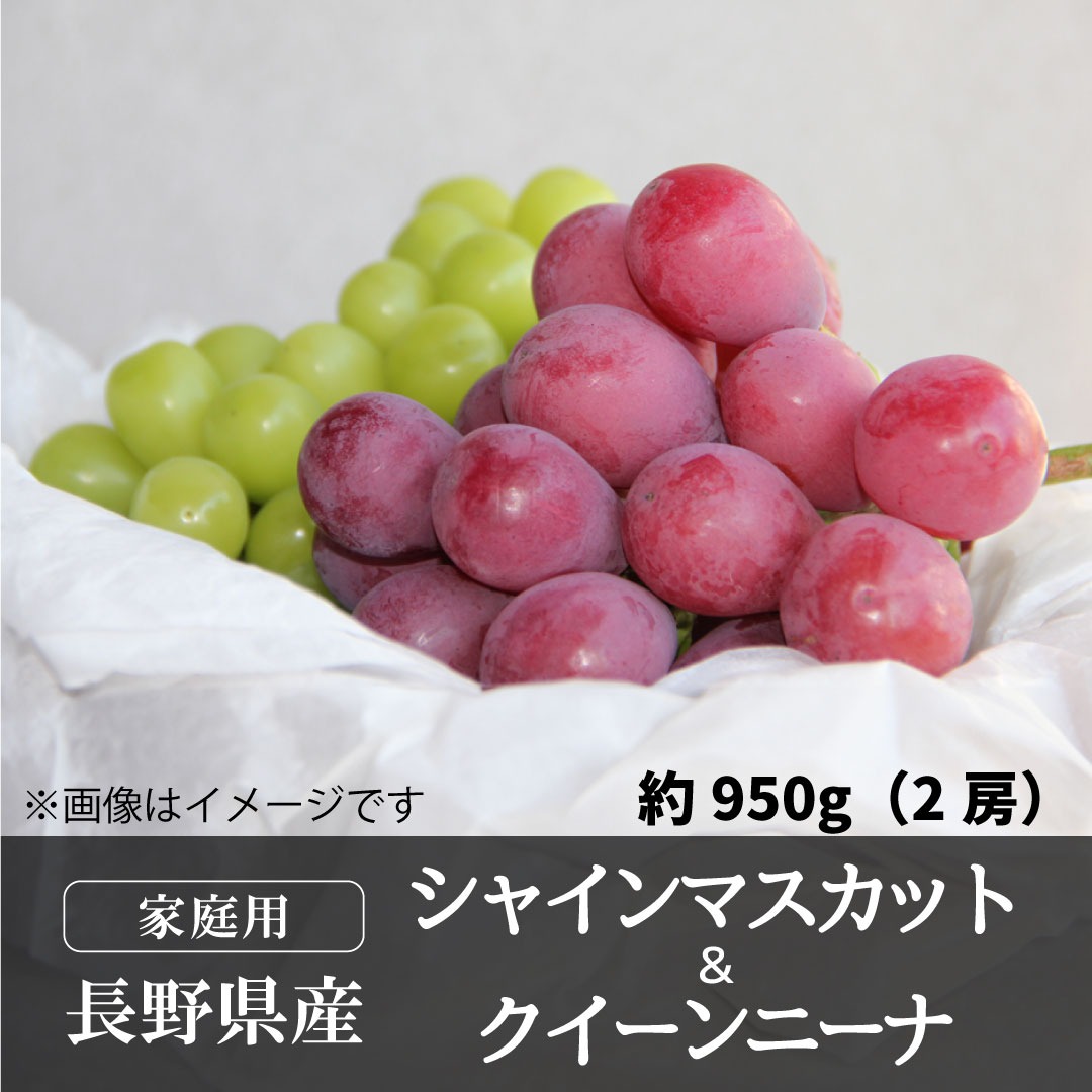 家庭用クイーンニーナ&シャインマスカット約950g（2房）／本気農場