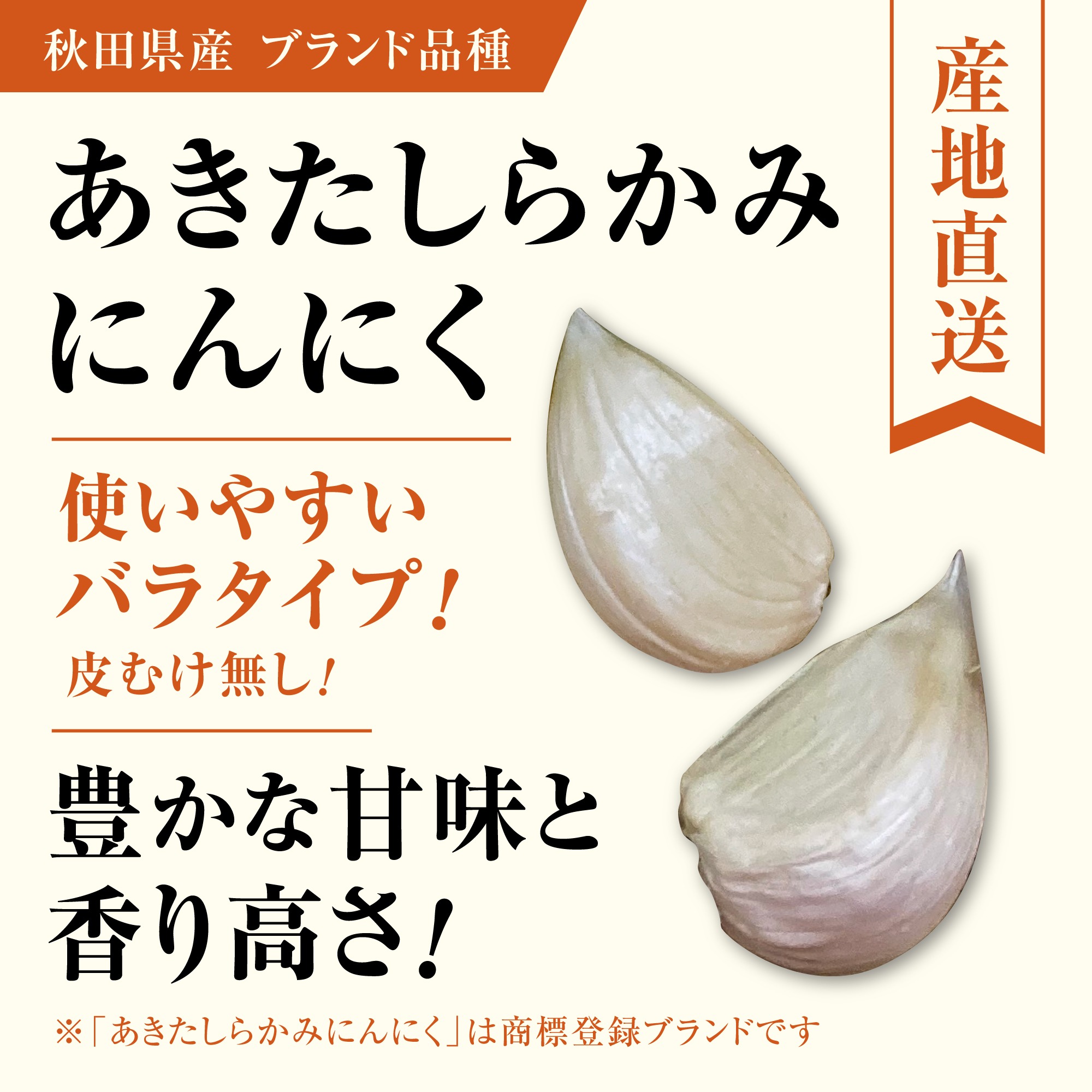 送料込み価格！ 中粒バラ 3kg『あきたしらかみにんにく』令和7年産