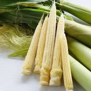 マエダファームの新鮮ヤングコーン ｜ 野菜/とうもろこし 産直アウル