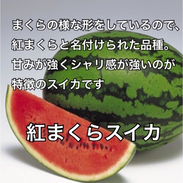 紅まくらすいか ｜ 果物/スイカ 産直アウル 農家・漁師など生産者から