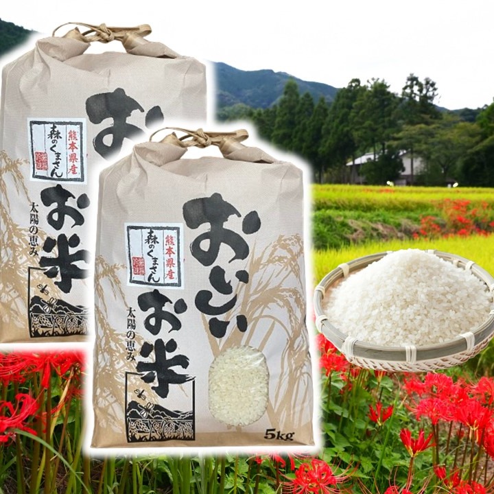 10kg 熊本県産お米　5kgX2袋