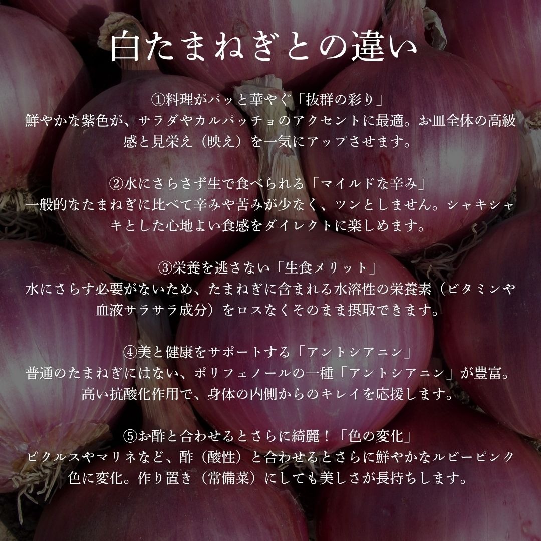 佐賀県みやき町農家 岡さんちの紫たまねぎ5キロ ｜ 野菜/玉ねぎ 産直
