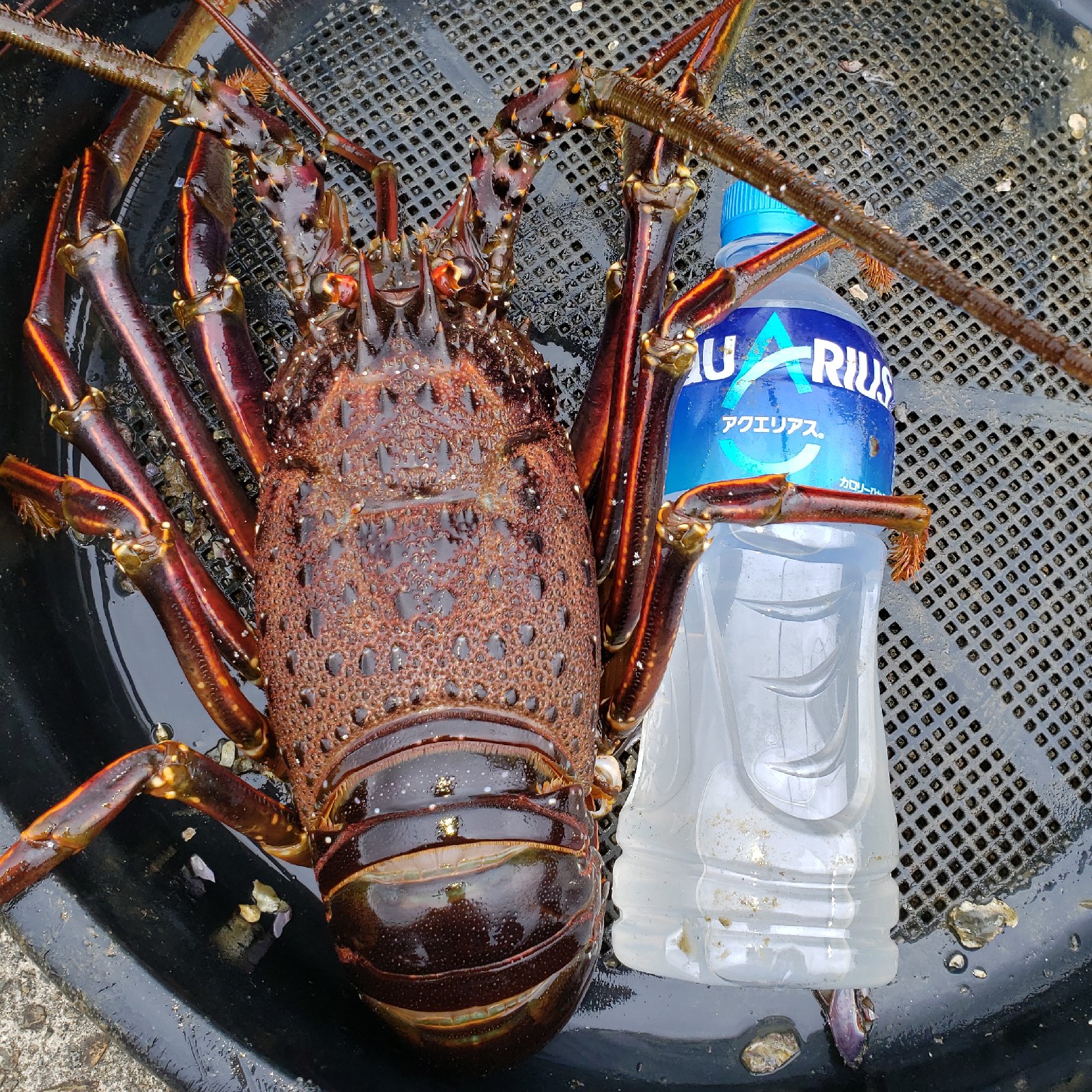 53c6a7564b96a7a11d37a977122006