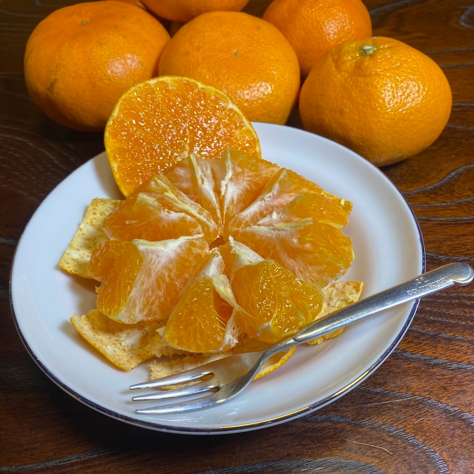 訳アリ】甘平🍊正直見た目は良くないです 3キロ家庭用 でも味は