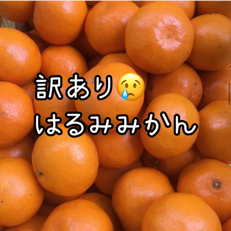 和歌山ももりファーム（和歌山県・紀の川市）｜生産者詳細｜産直アウル