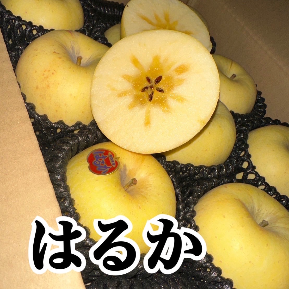 産地詳細 ｜ 青森県五所川原市 ｜ 産直アウル 農家・漁師など生産者