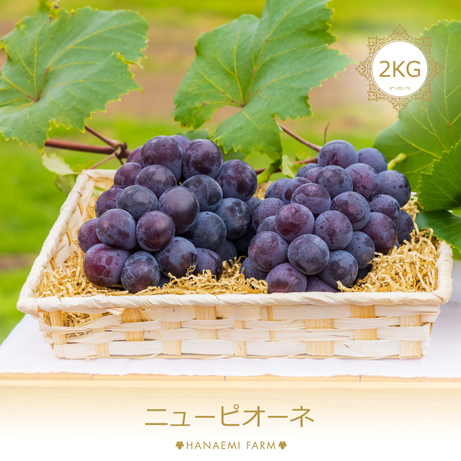 P-2 花笑み農園 岡山の『ニューピオーネ』約2kg（3～4房）家庭用