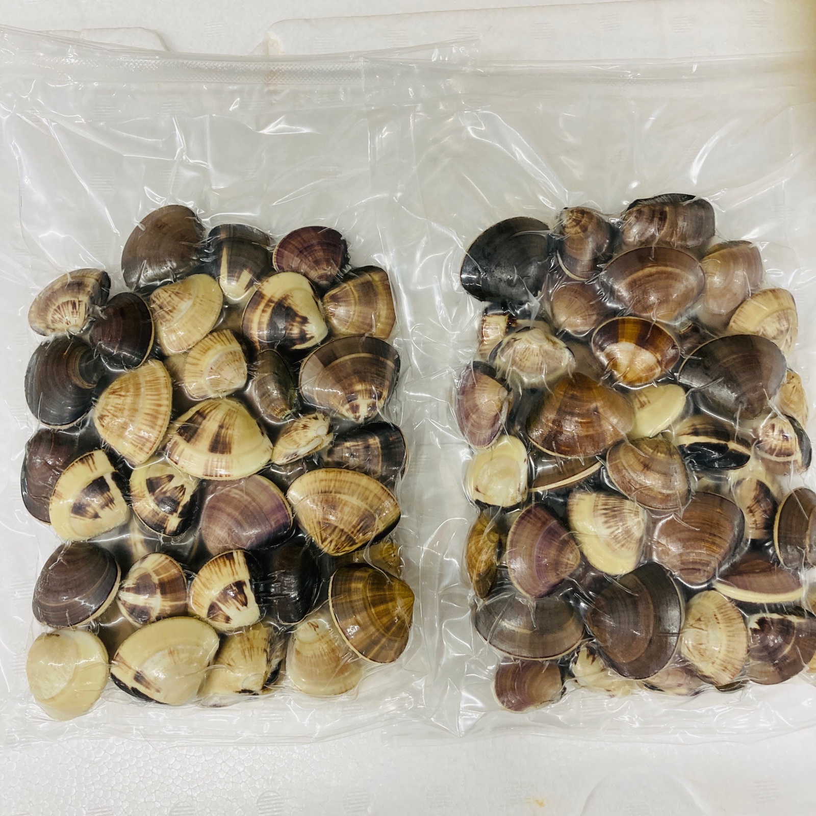 ハマグリページ 真空冷凍はまぐり(ぜんな) 1個10-25g 約500g×3パック ｜ 魚介類/蛤