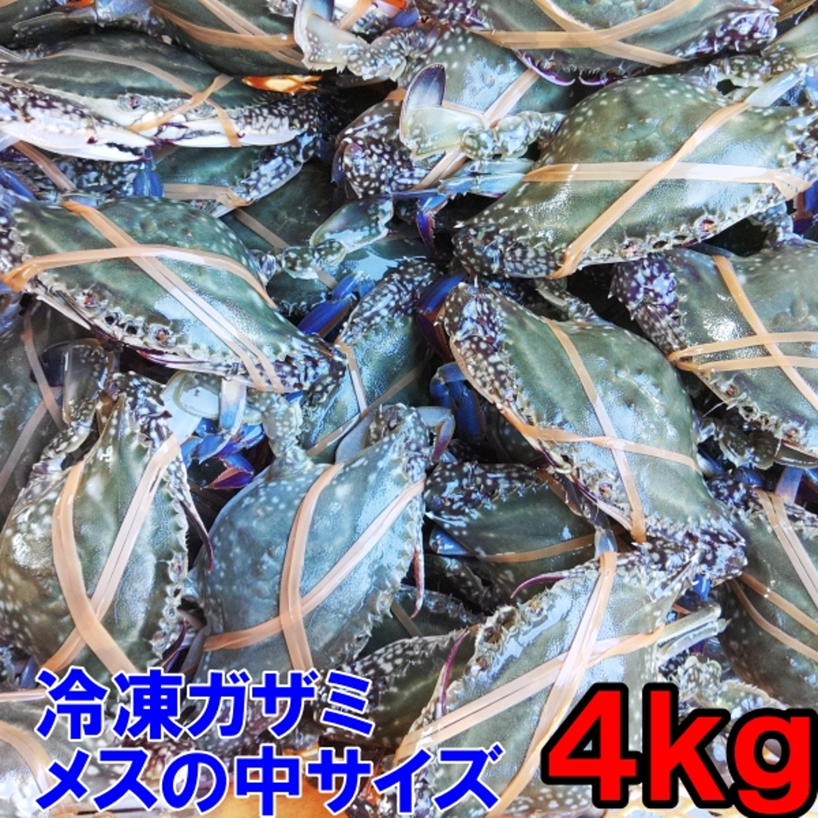 ワタリガニ メス中サイズ 冷凍発送4kg（約18杯）2kg×2箱 渡り蟹